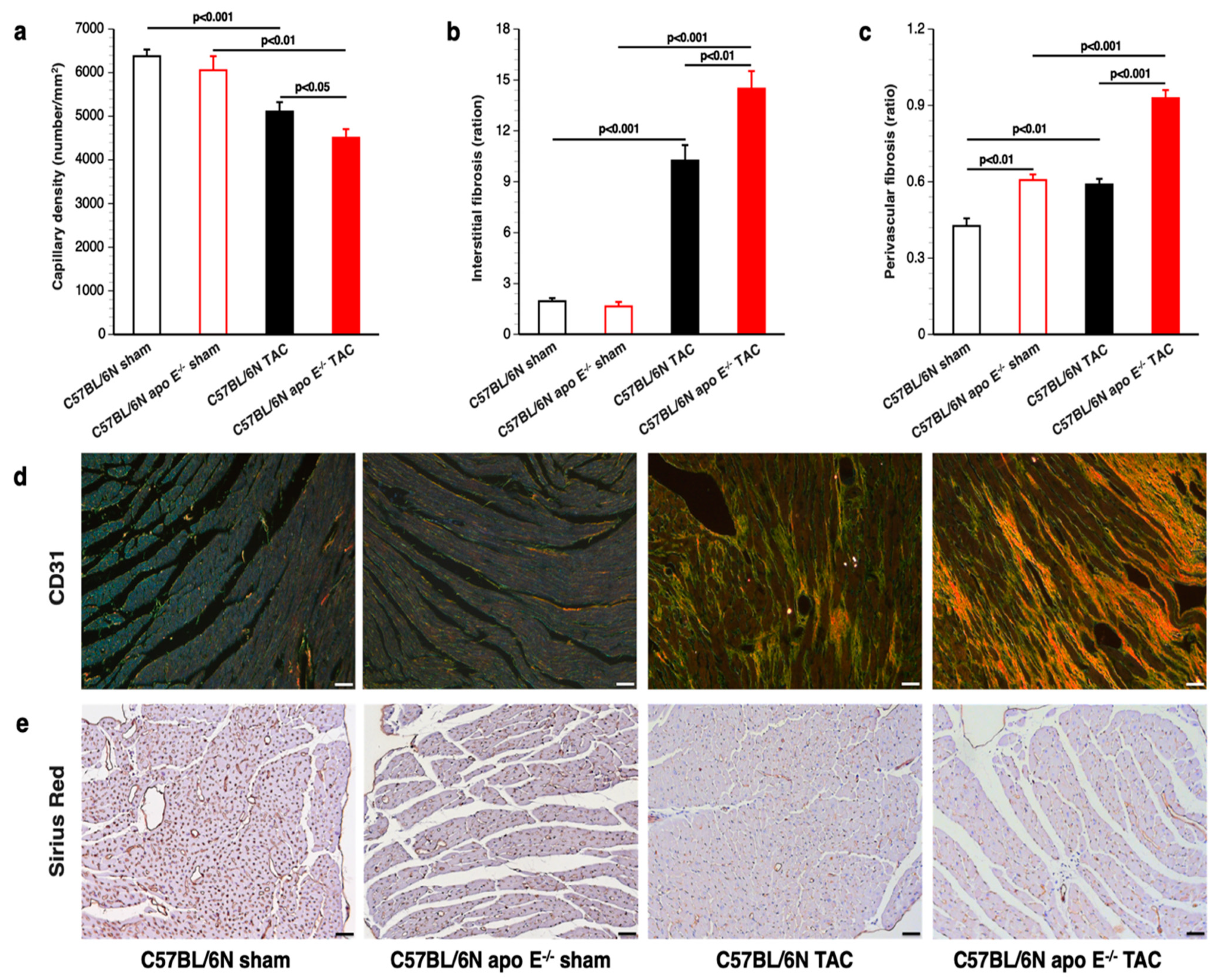 Biomedicines 10 01592 g005 Biomedicines 10 01592 g005