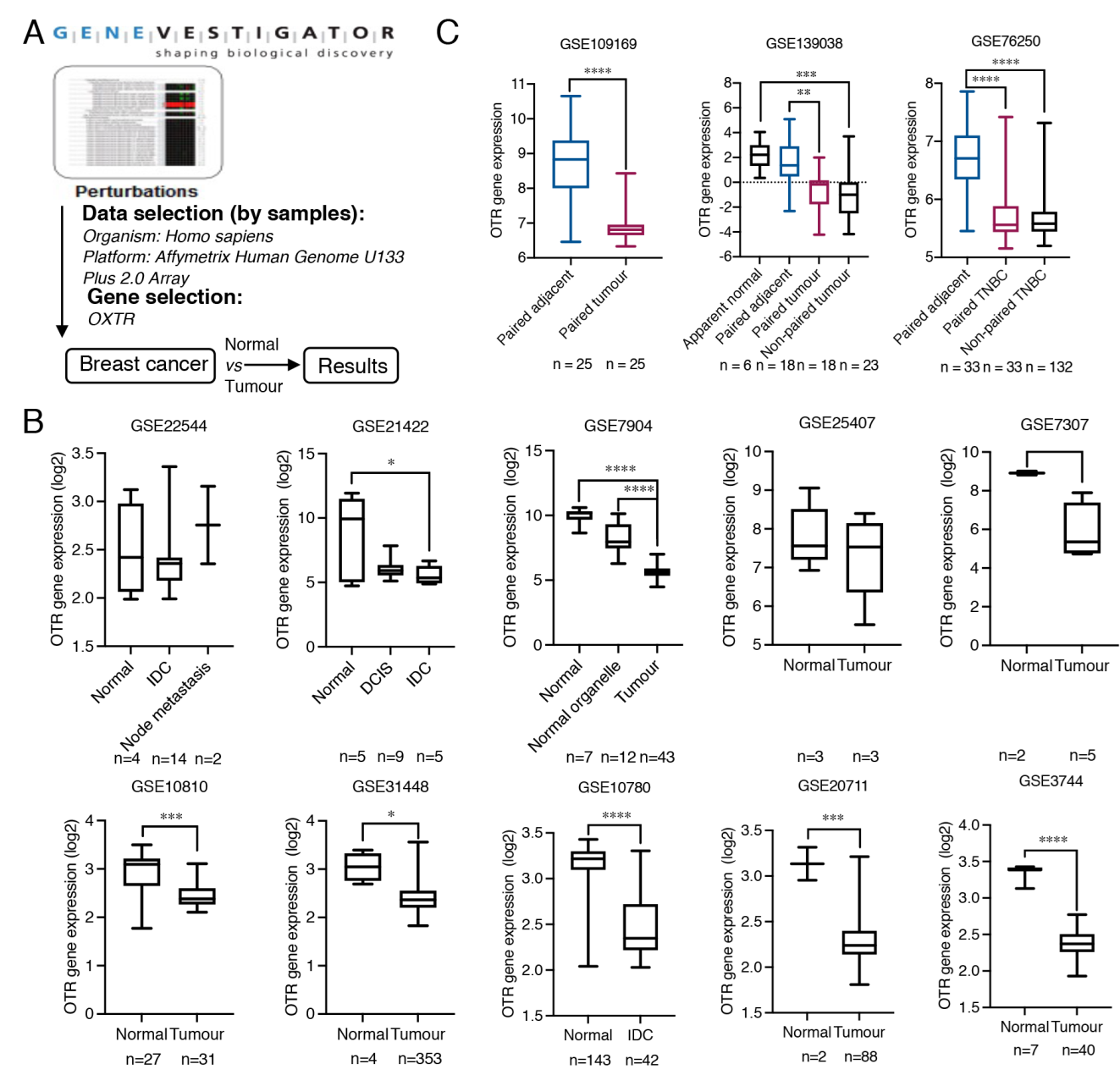 Biomedicines 10 01595 g001 Biomedicines 10 01595 g001