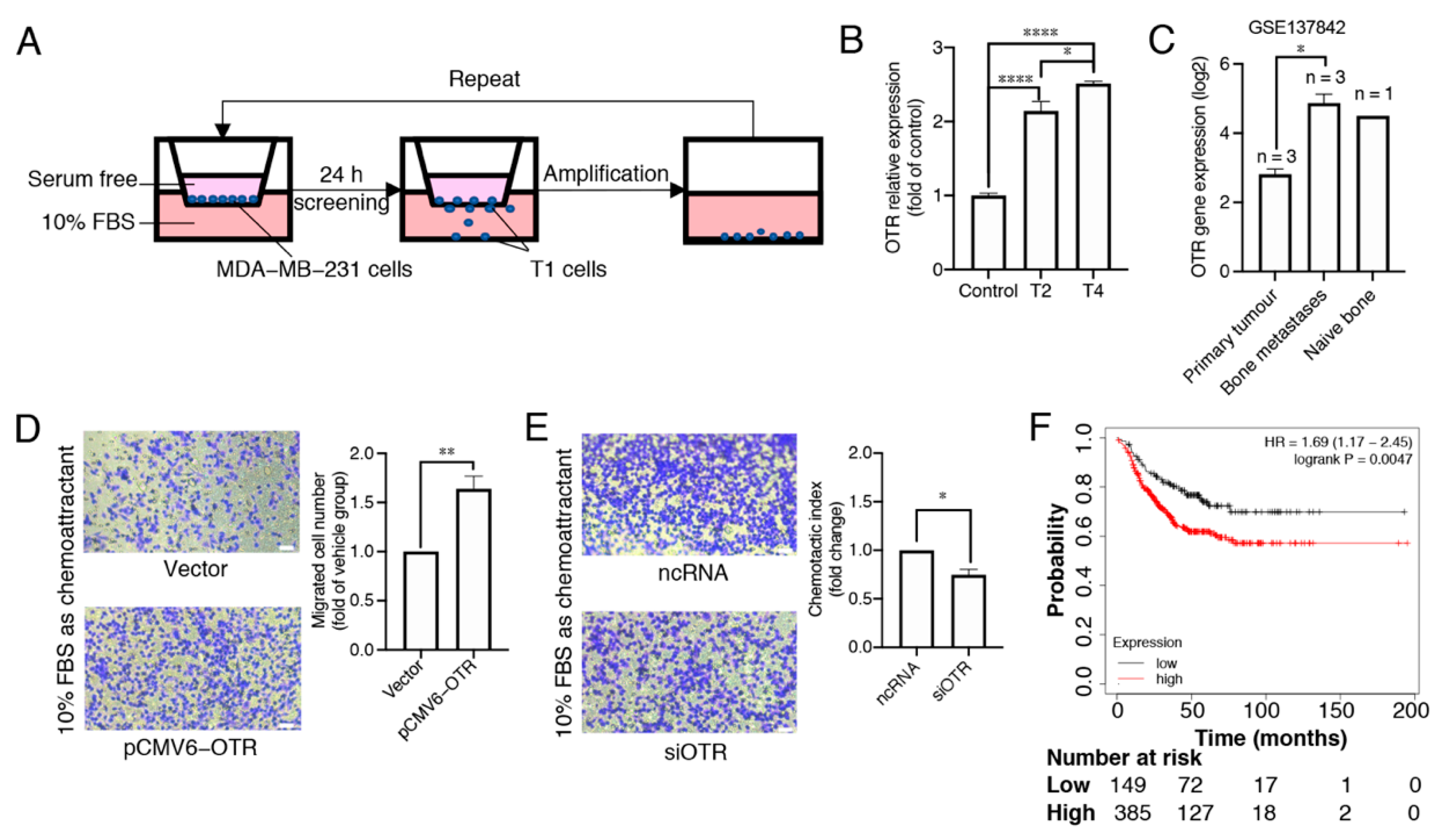 Biomedicines 10 01595 g002 Biomedicines 10 01595 g002