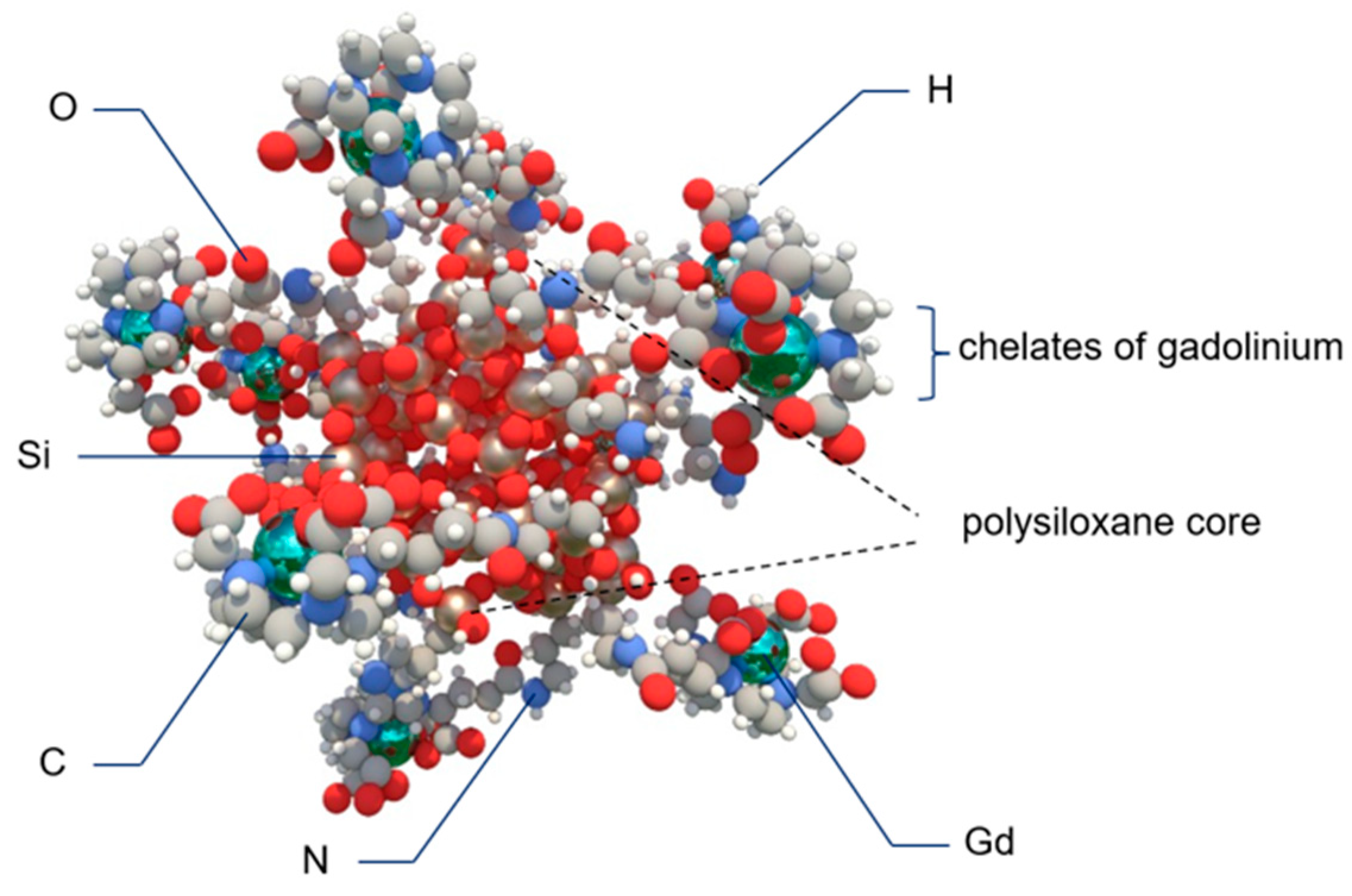 Biomedicines 10 01598 g004 550