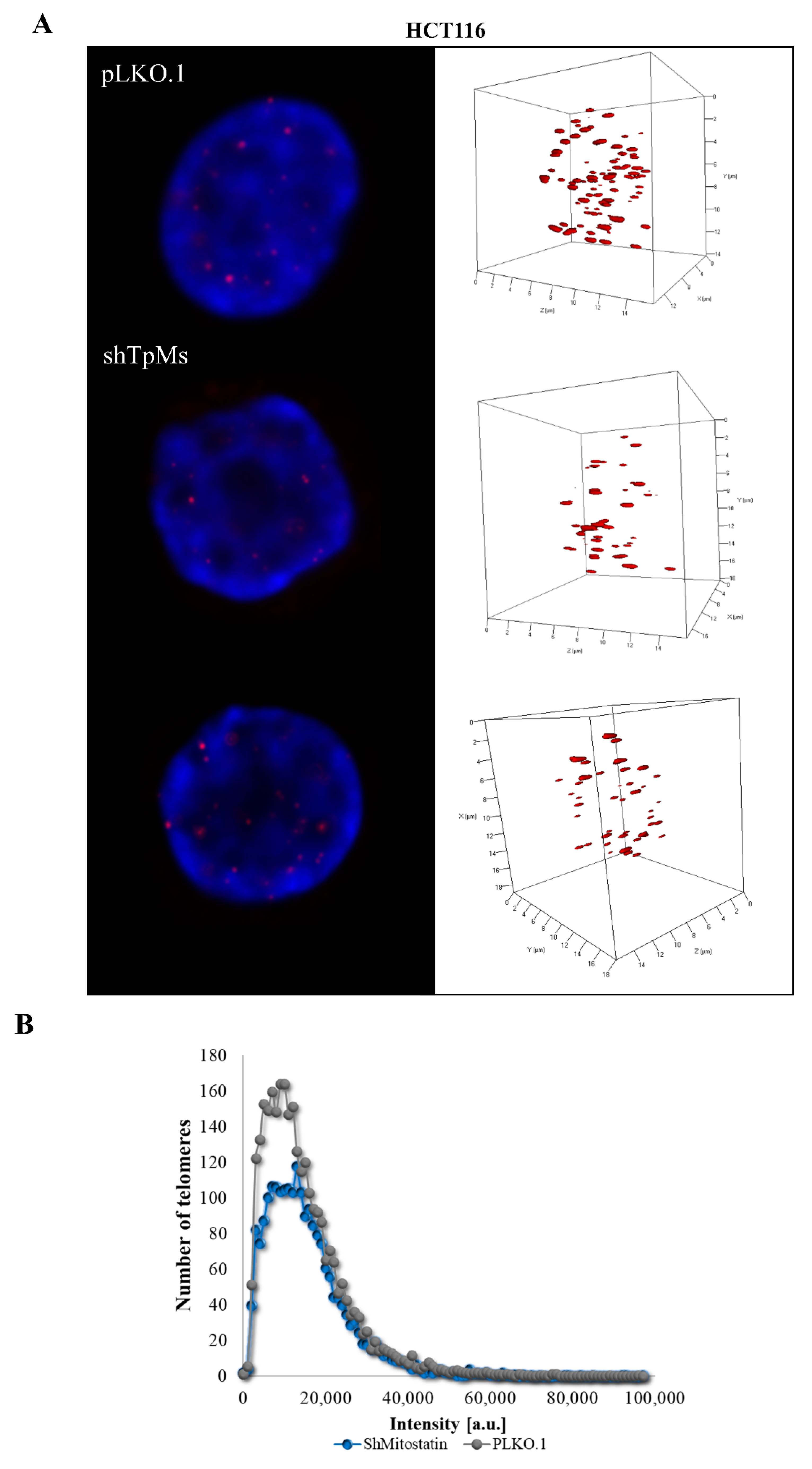 Biomedicines 10 01602 g002