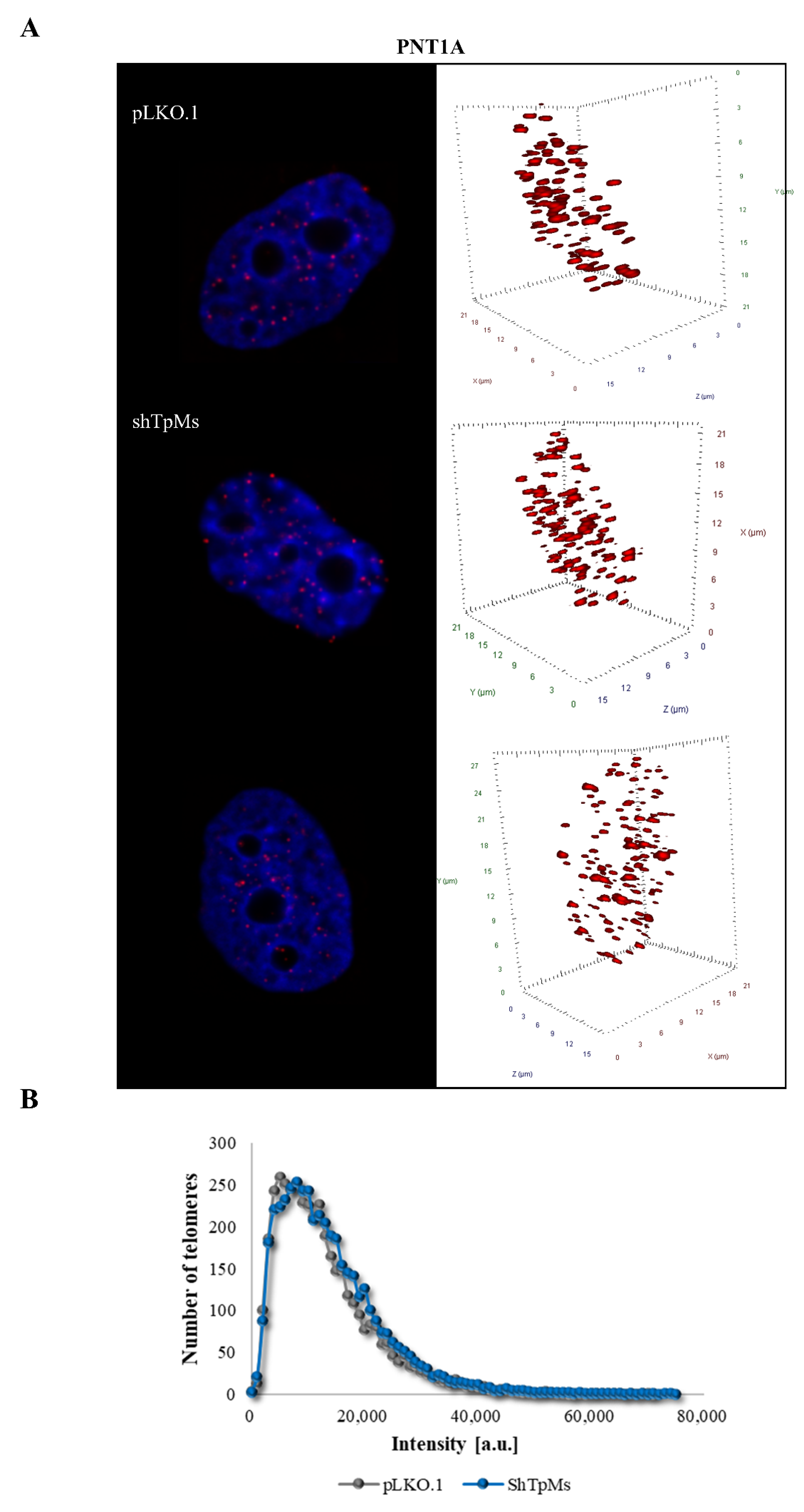 Biomedicines 10 01602 g004