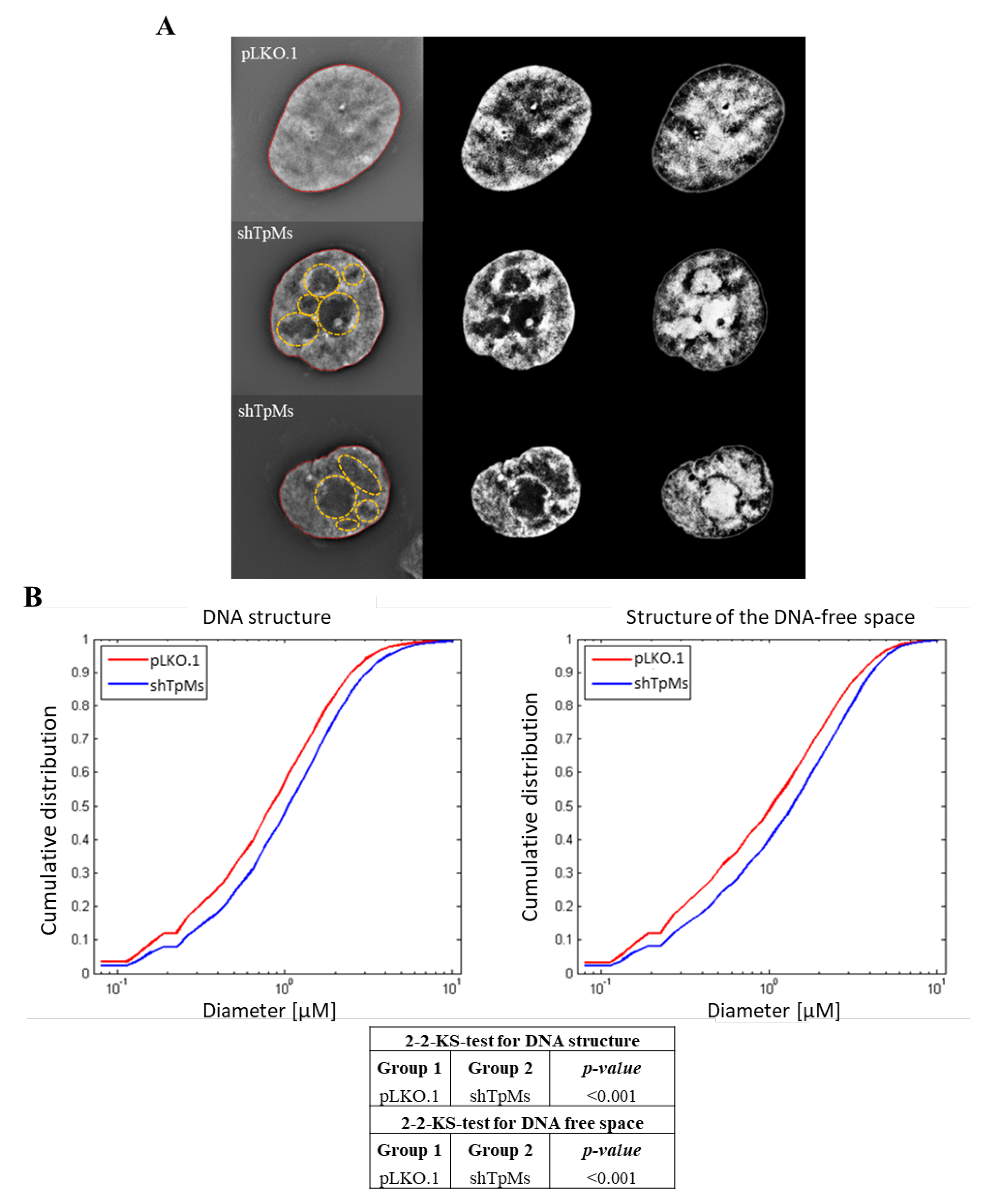 Biomedicines 10 01602 g005