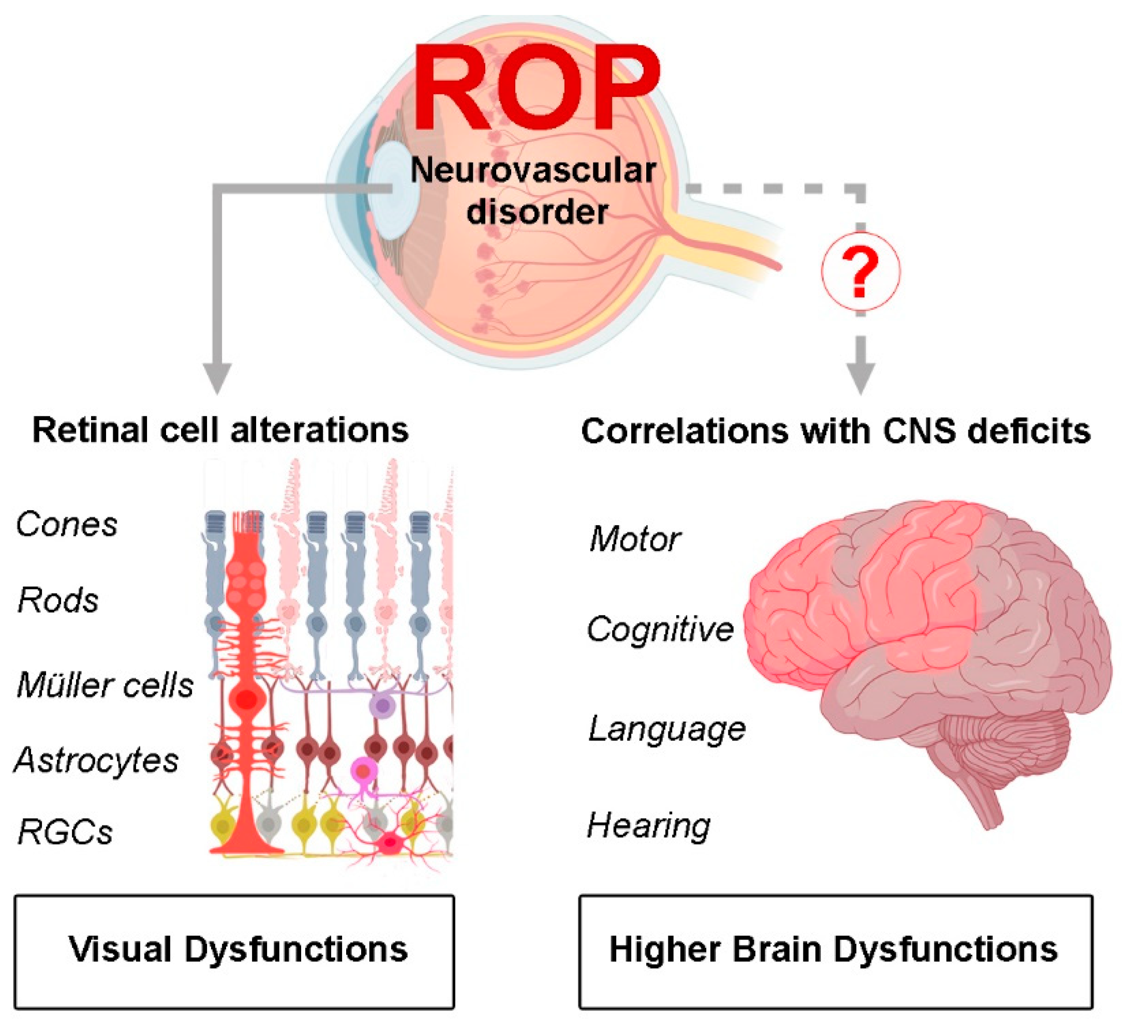 Biomedicines 10 01603 g003 Biomedicines 10 01603 g003