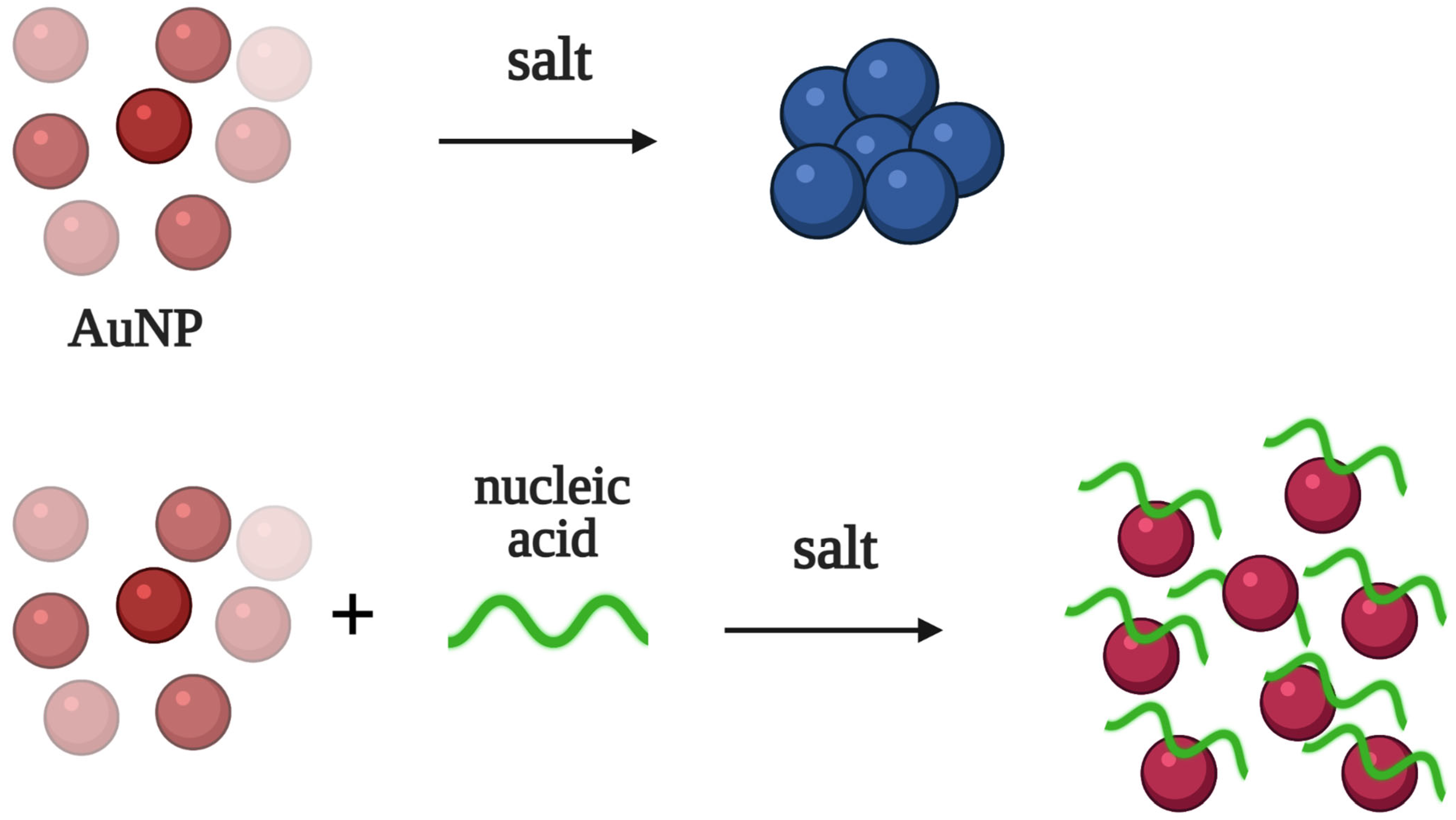 Biomedicines 10 01606 g001 550