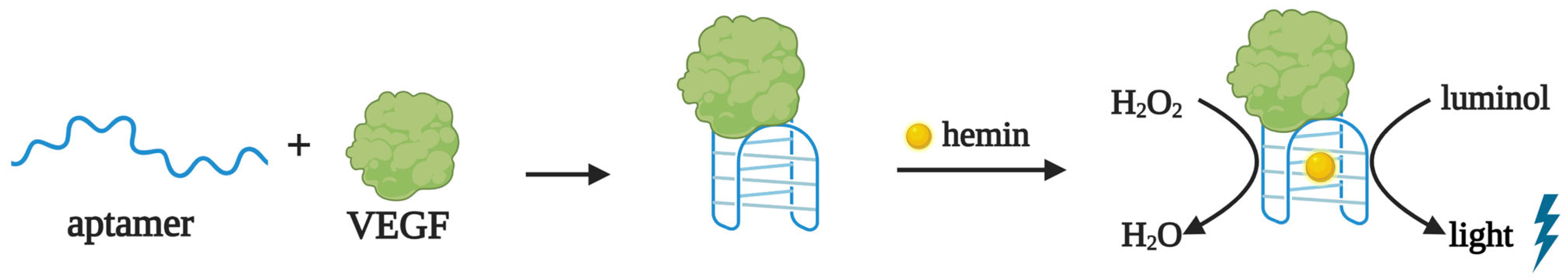 Biomedicines 10 01606 g003 550