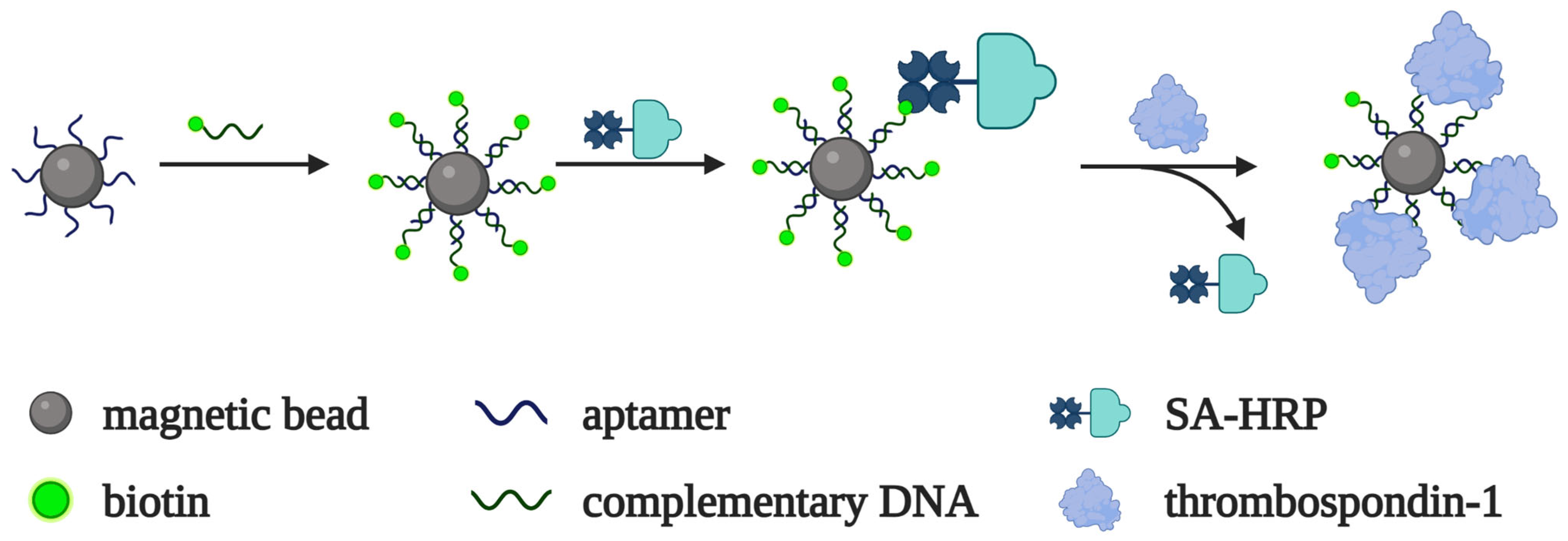 Biomedicines 10 01606 g009 550