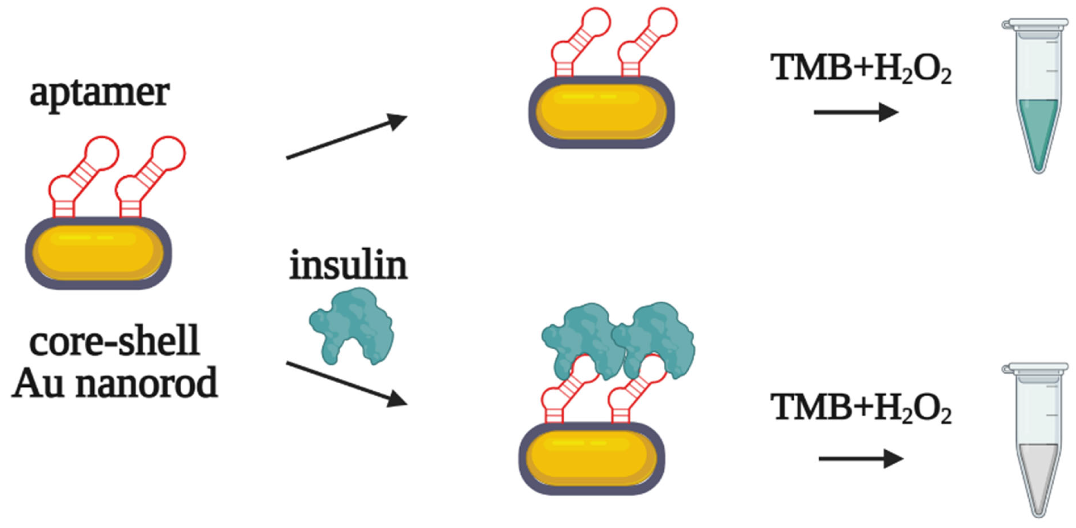 Biomedicines 10 01606 g010 550