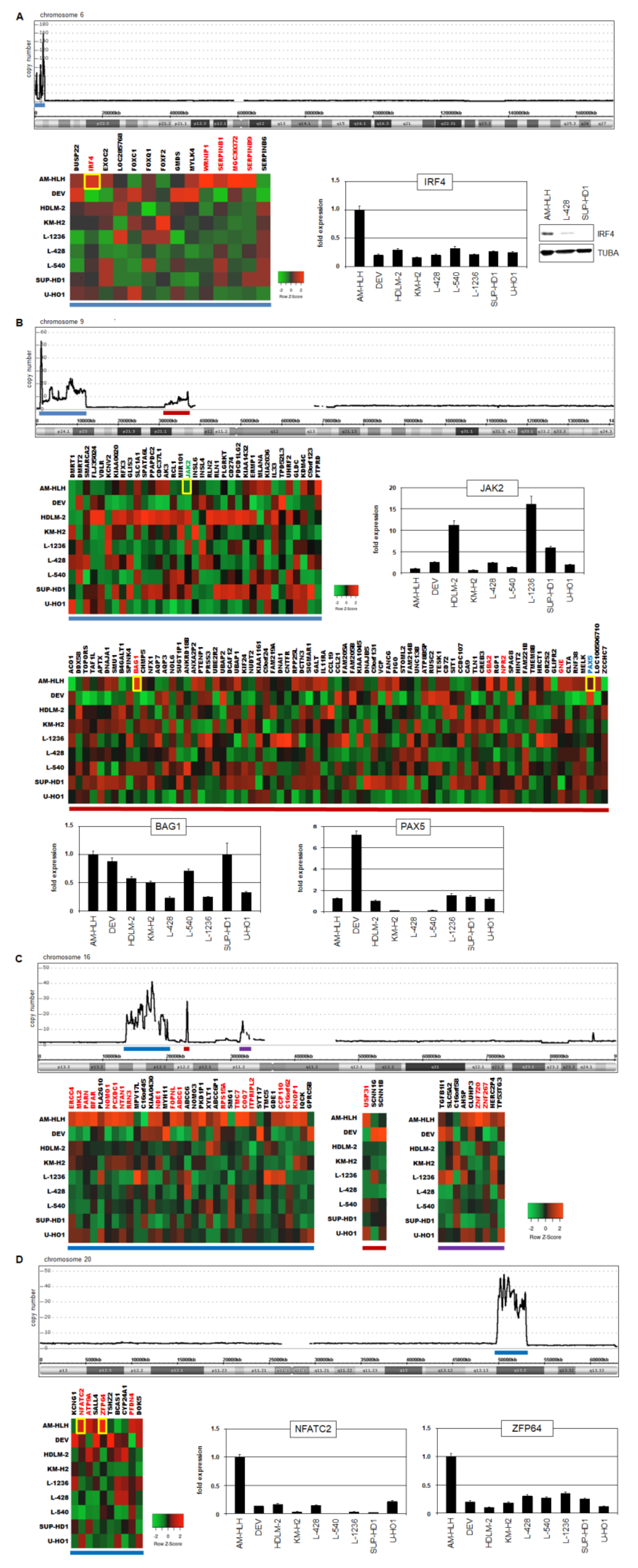 Biomedicines 10 01608 g003