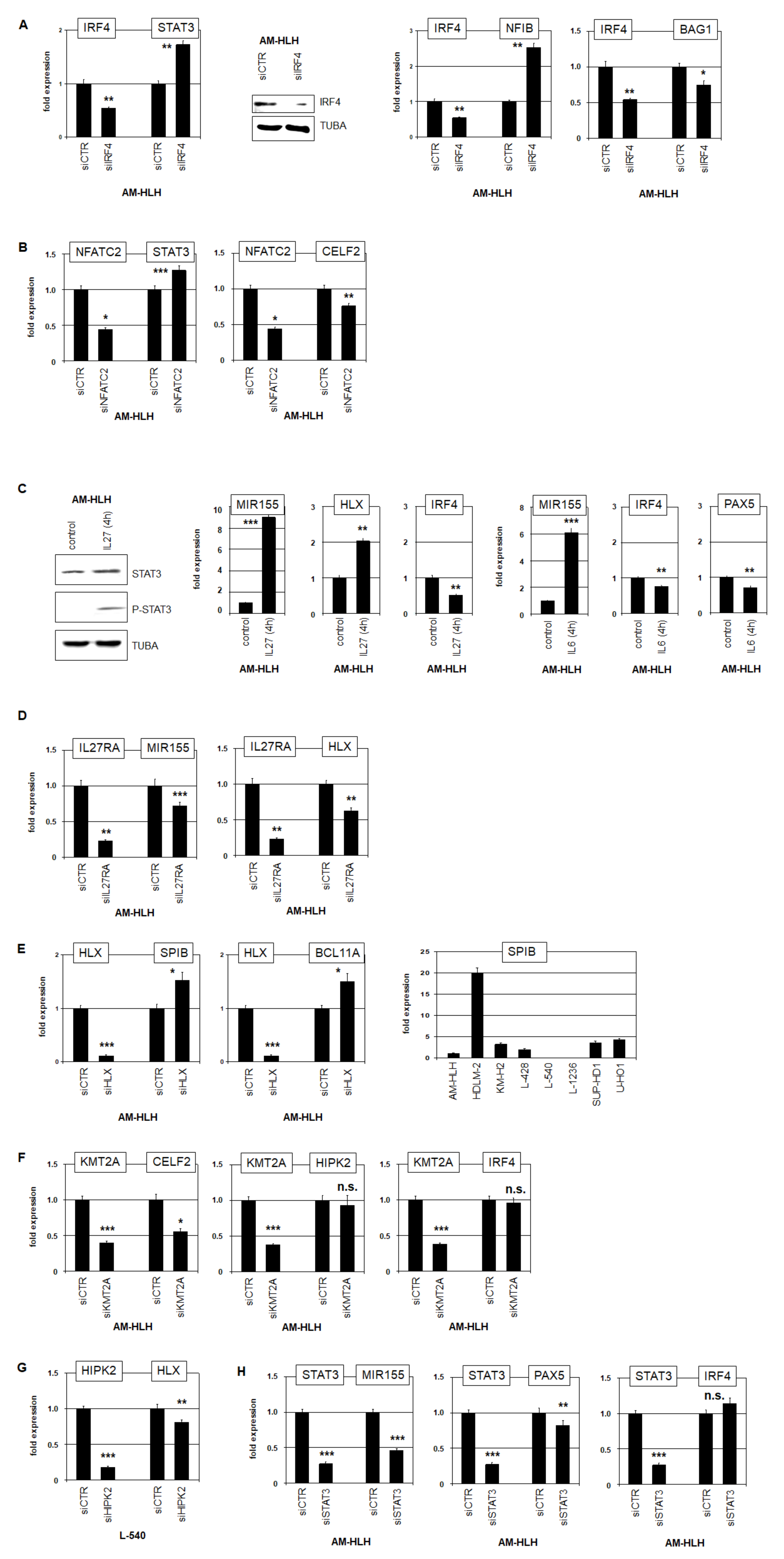 Biomedicines 10 01608 g004