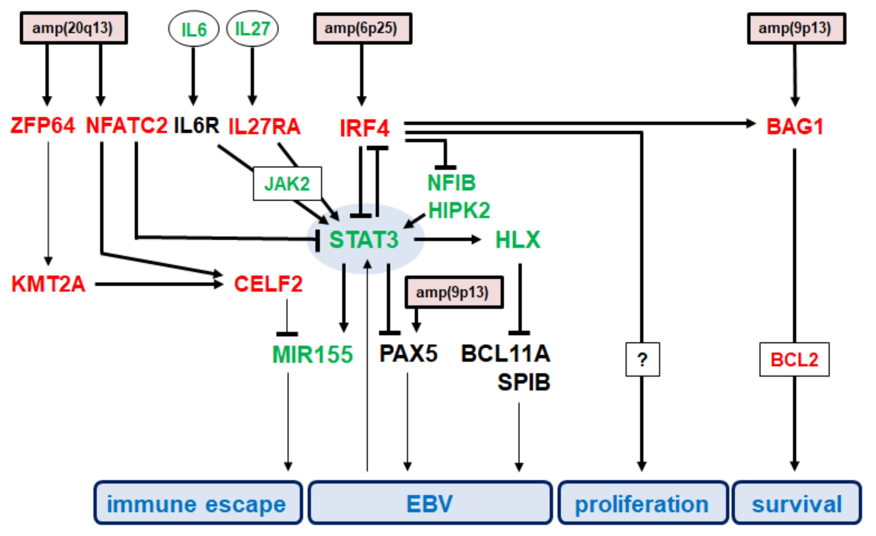 Biomedicines 10 01608 g006
