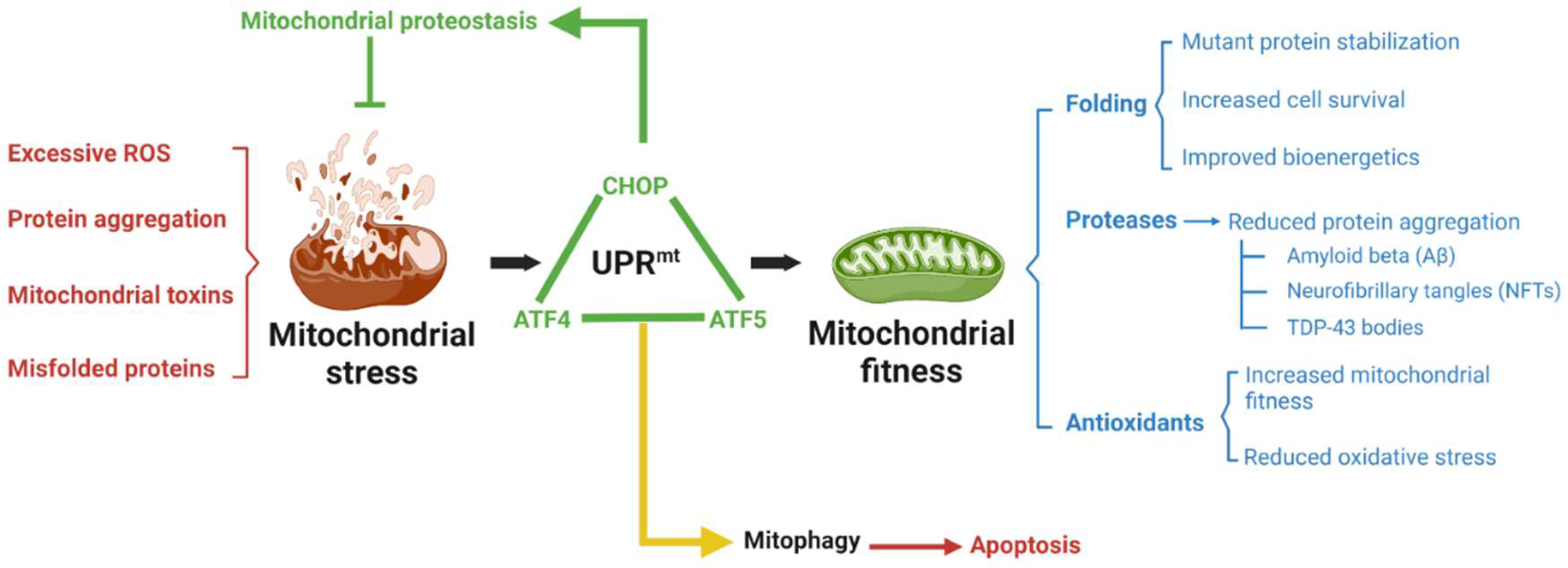 Biomedicines 10 01611 g002