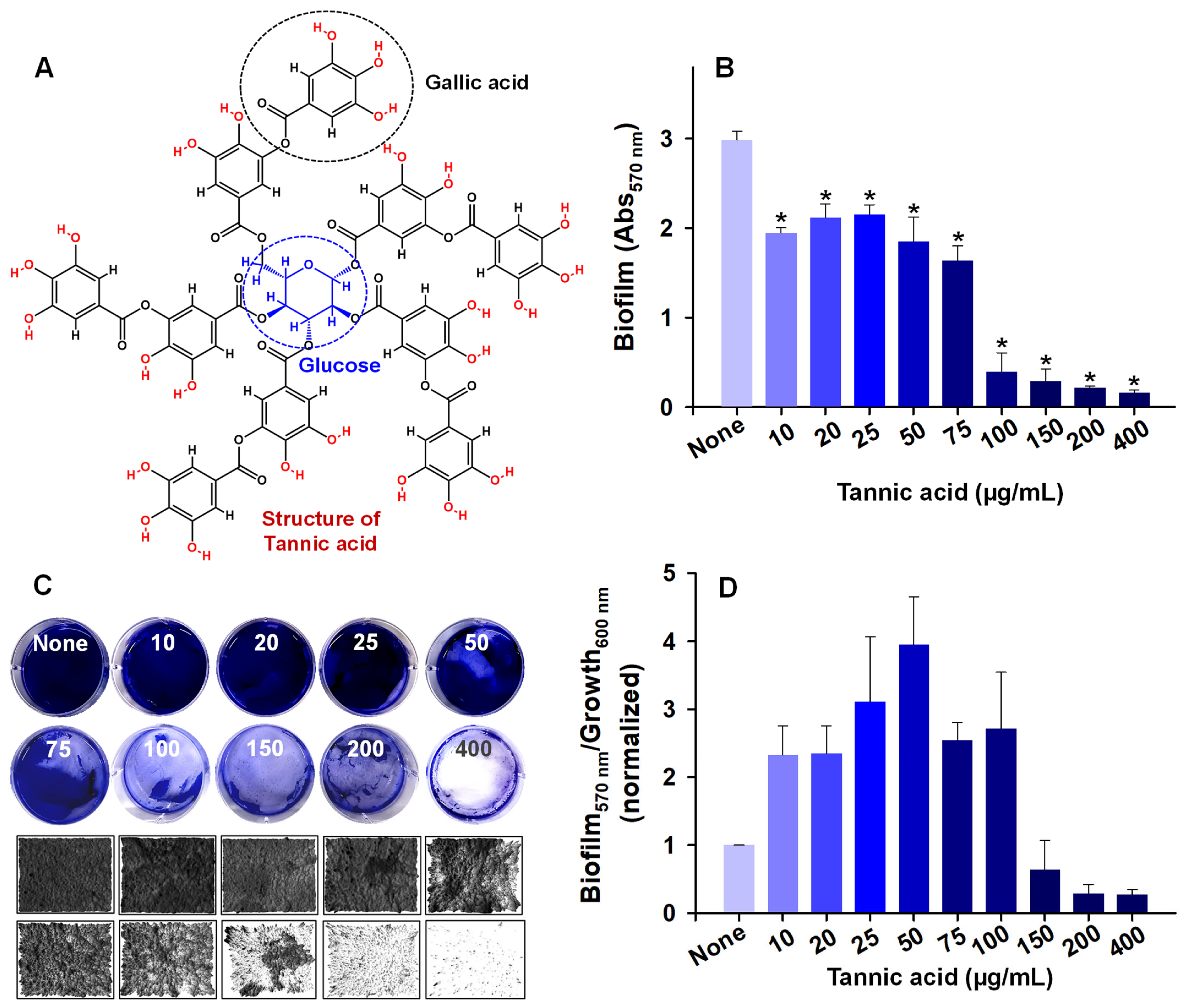 Biomedicines 10 01619 g001