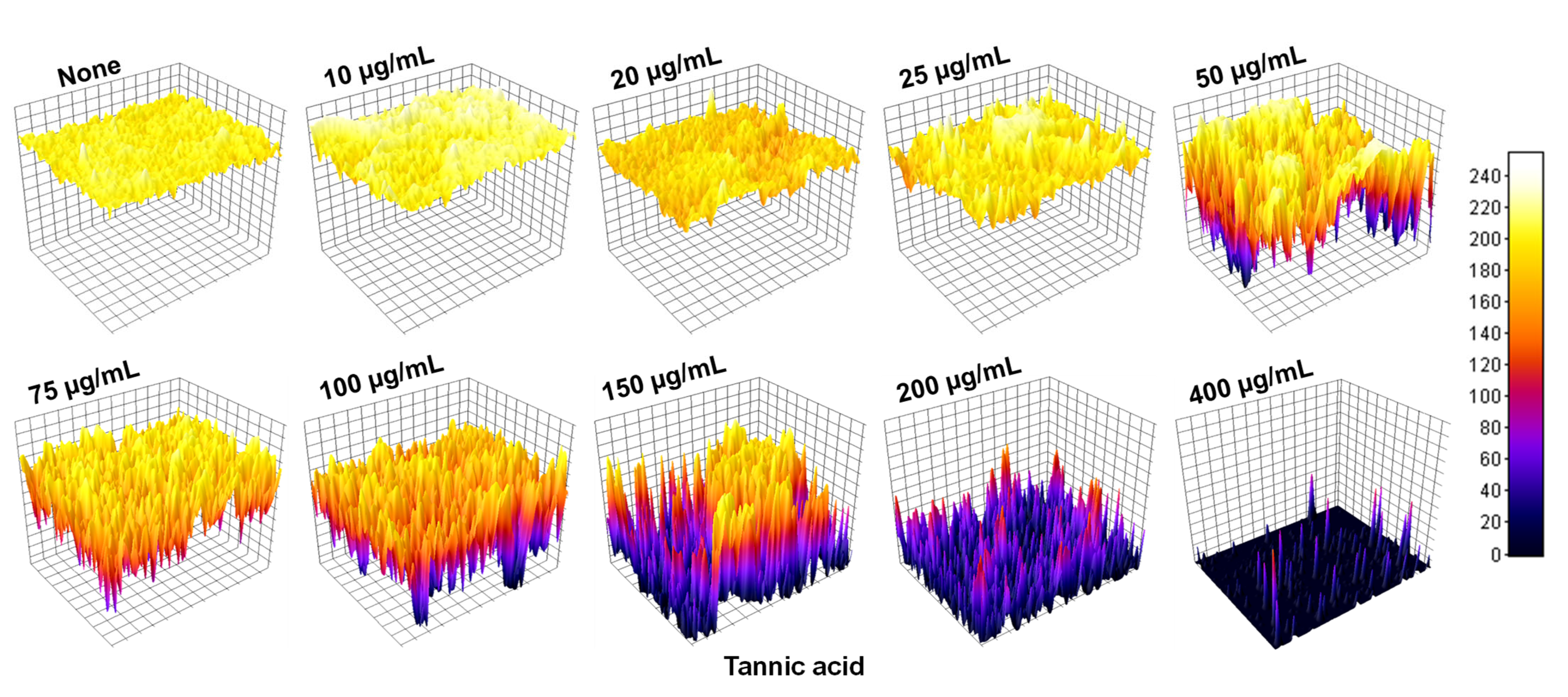 Biomedicines 10 01619 g002