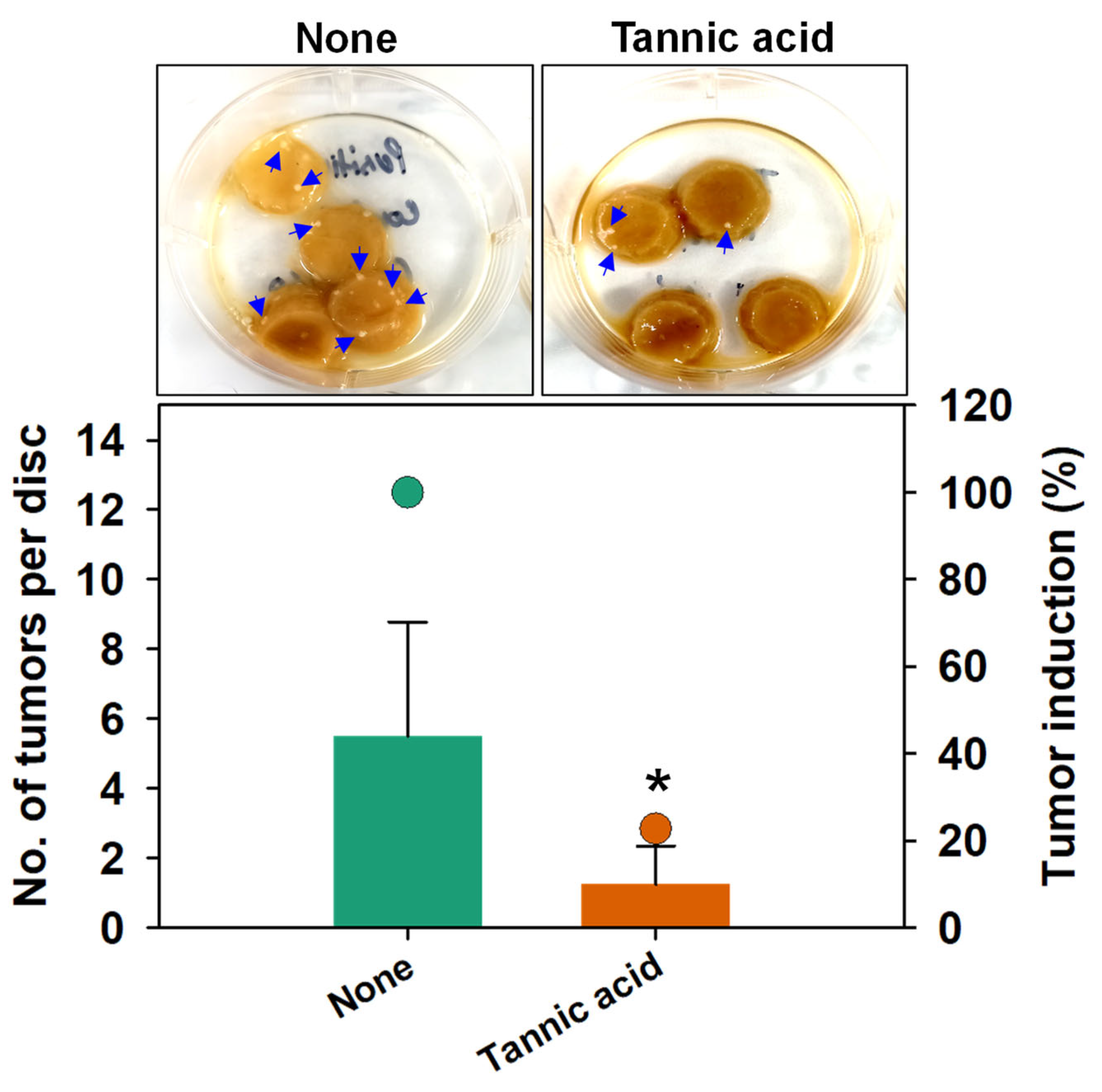 Biomedicines 10 01619 g007