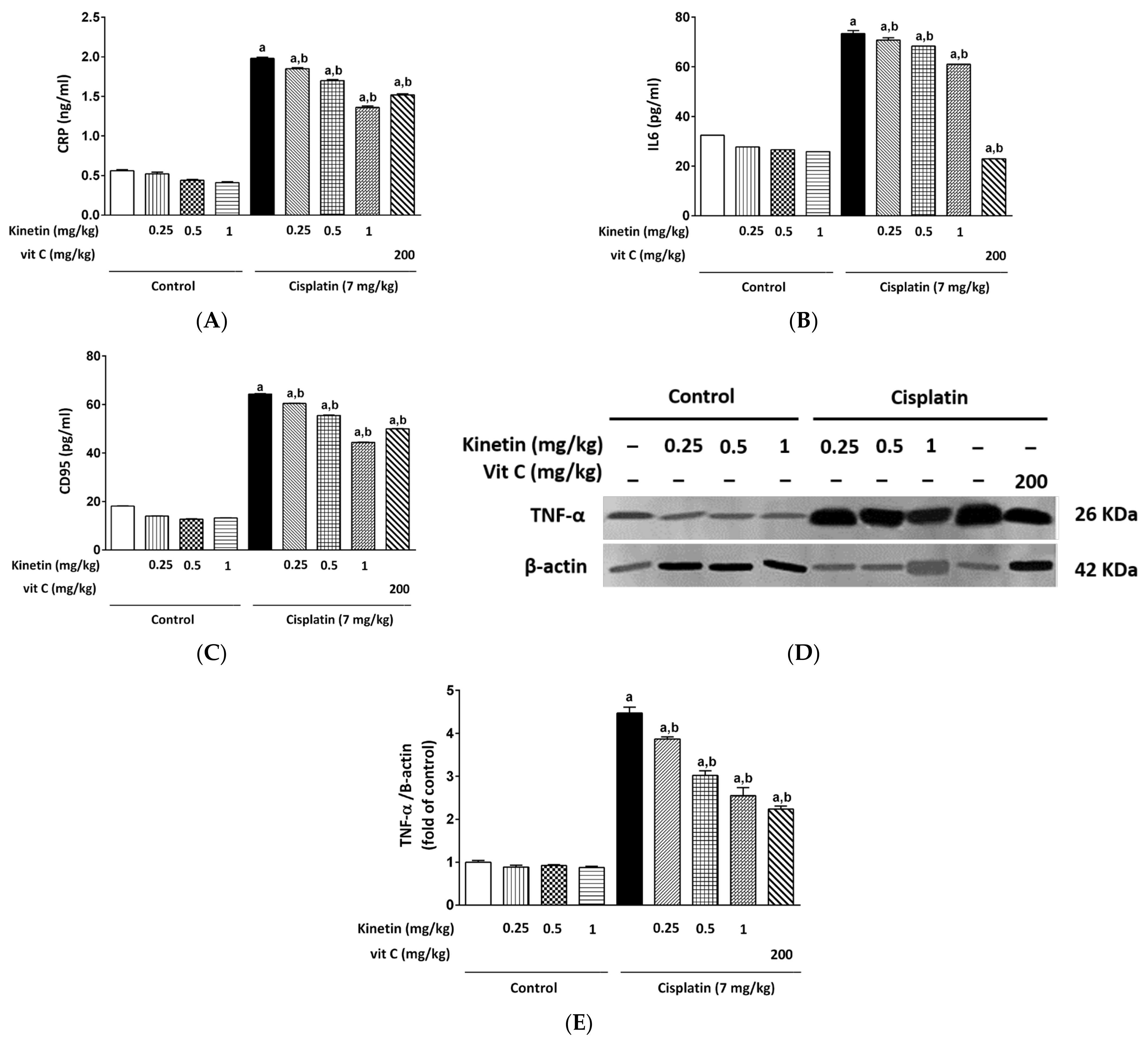 Biomedicines 10 01620 g005