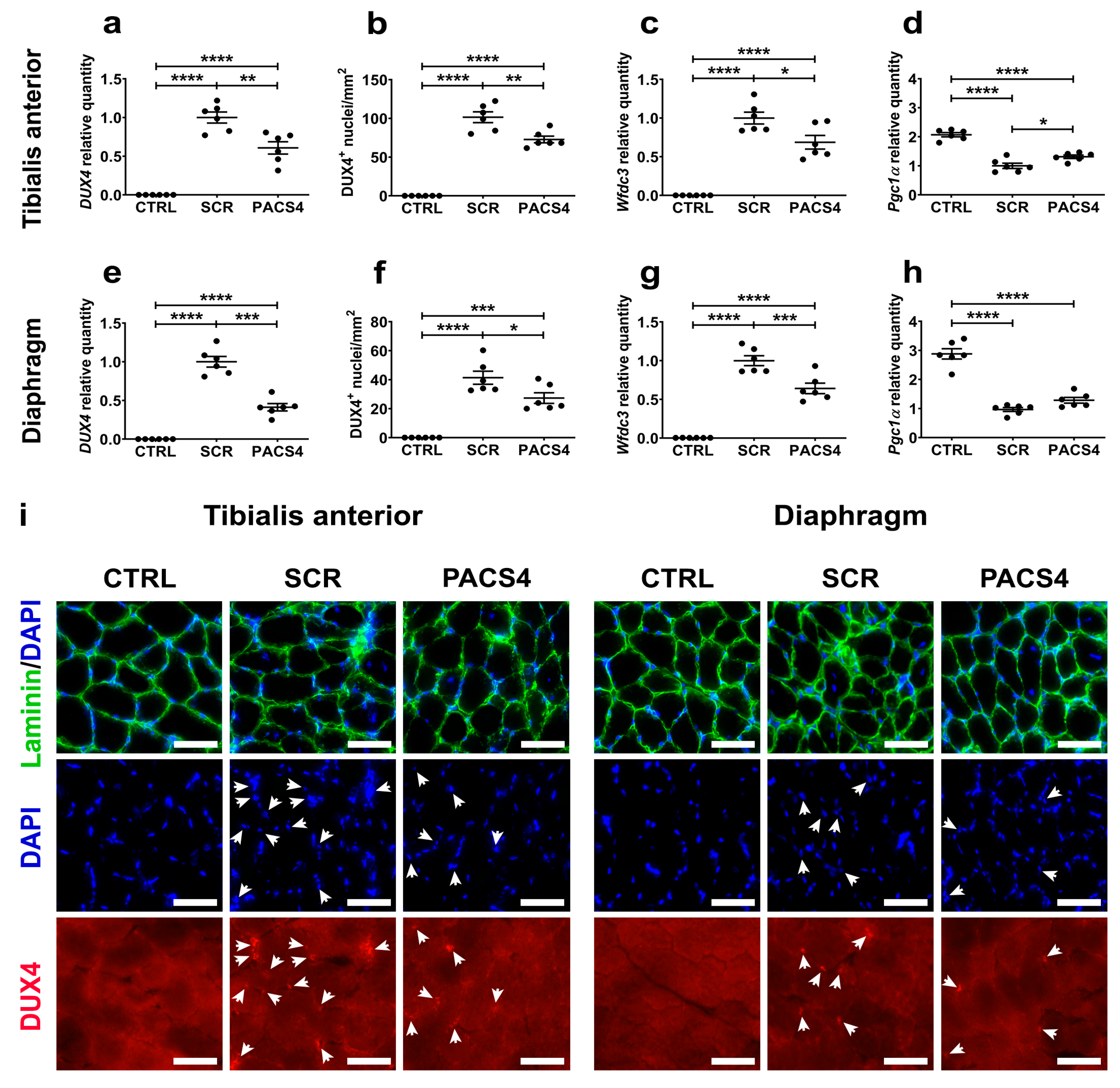 Biomedicines 10 01623 g003 550