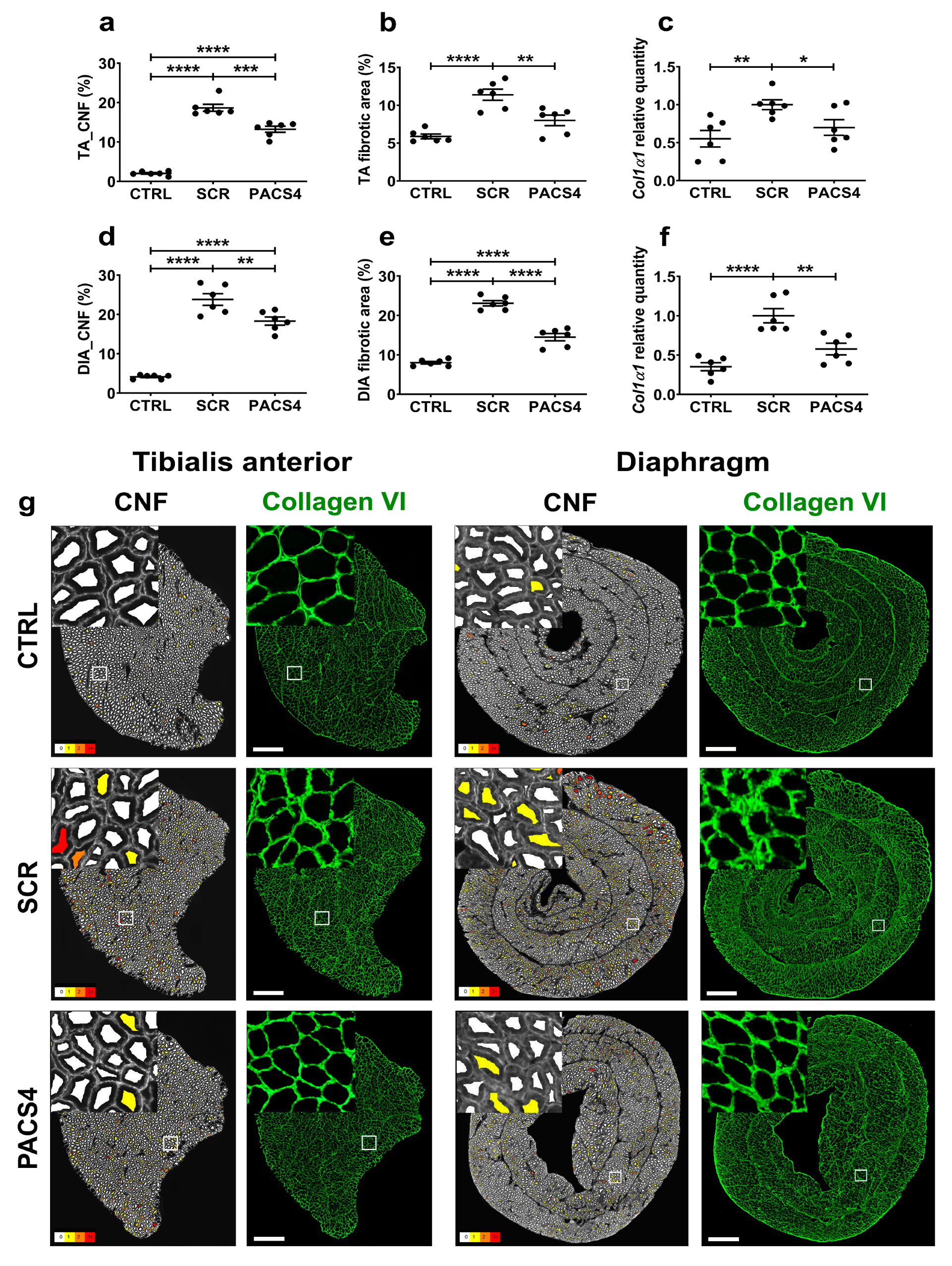 Biomedicines 10 01623 g005 550