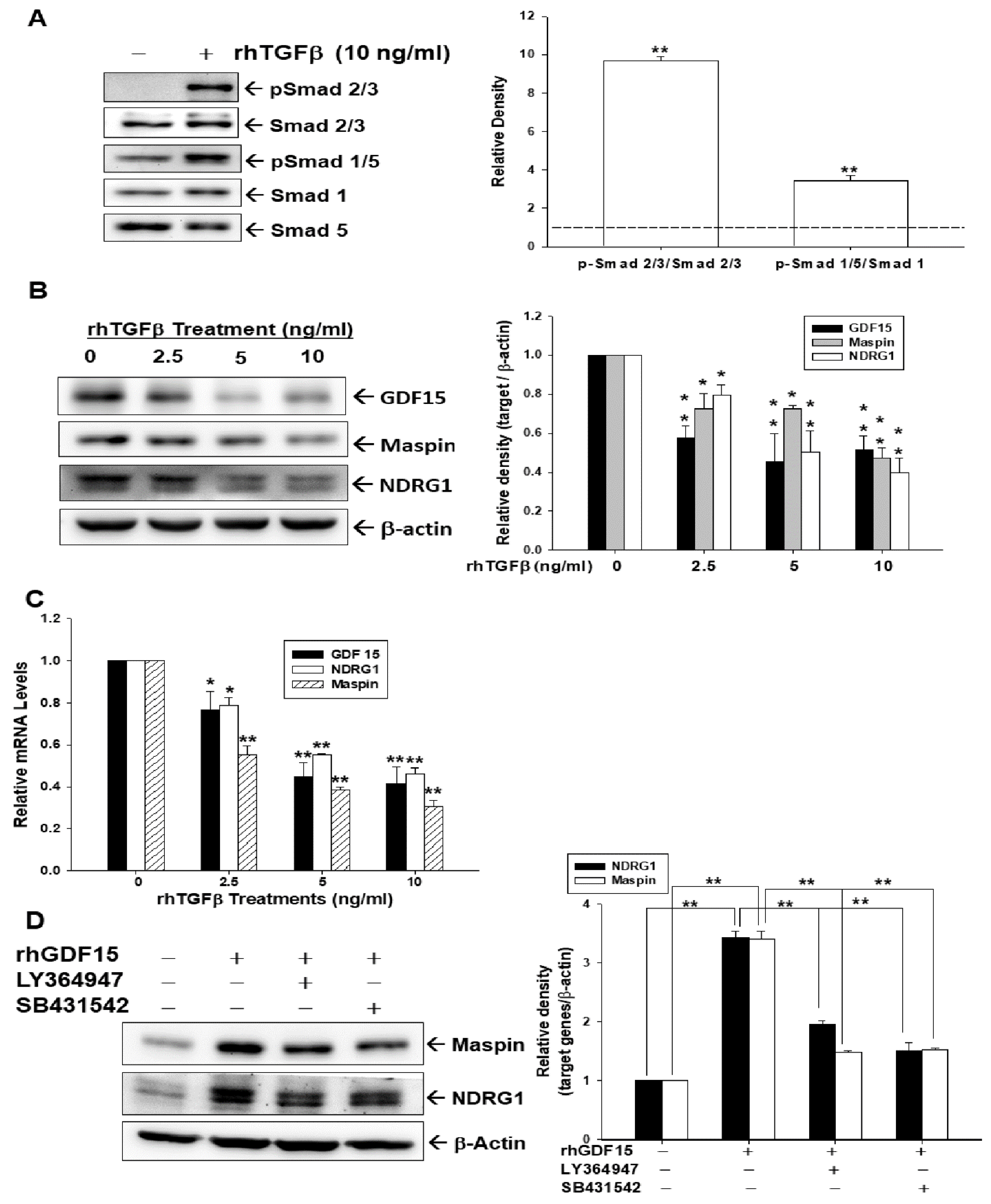 Biomedicines 10 01625 g001