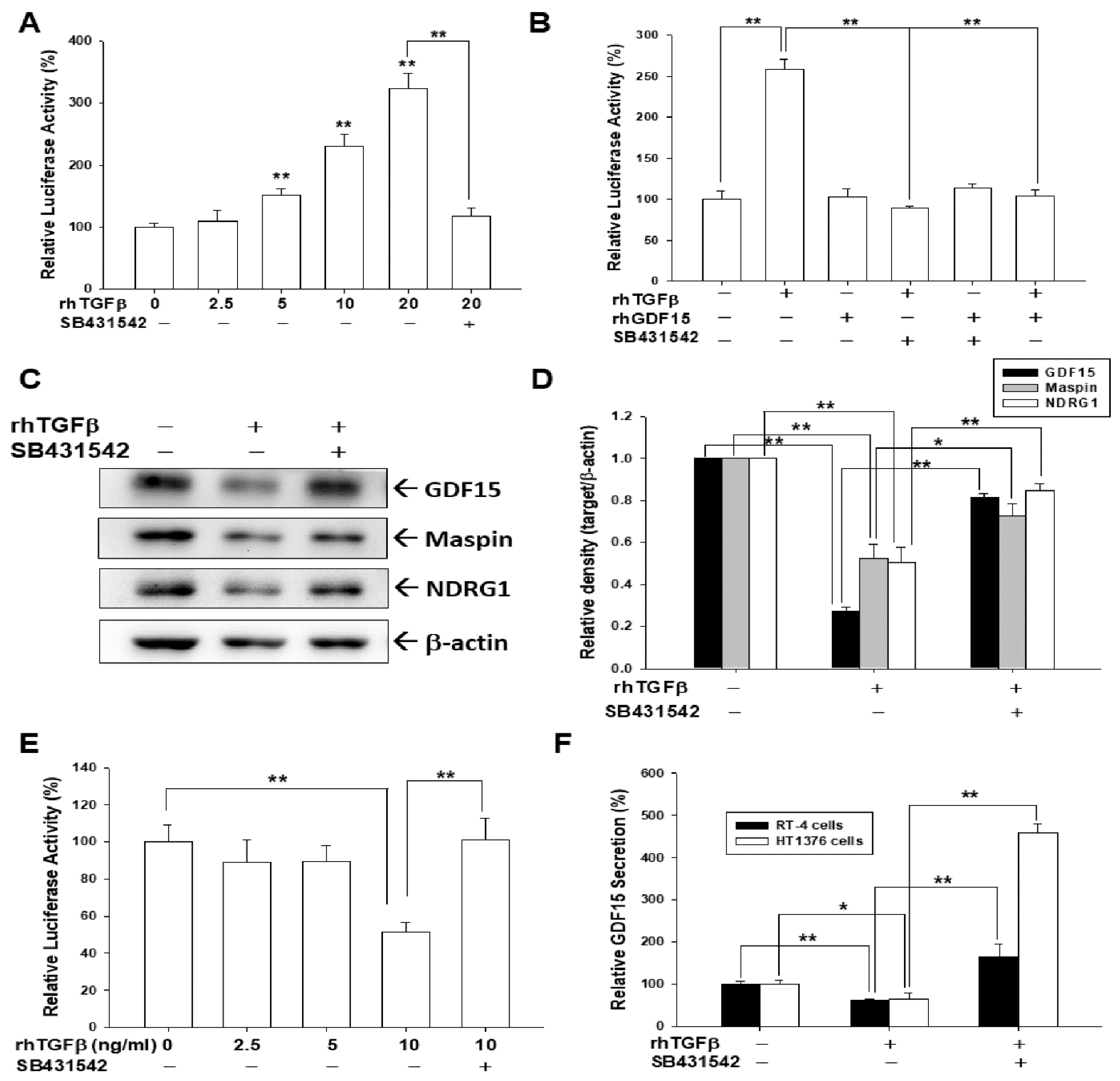 Biomedicines 10 01625 g002