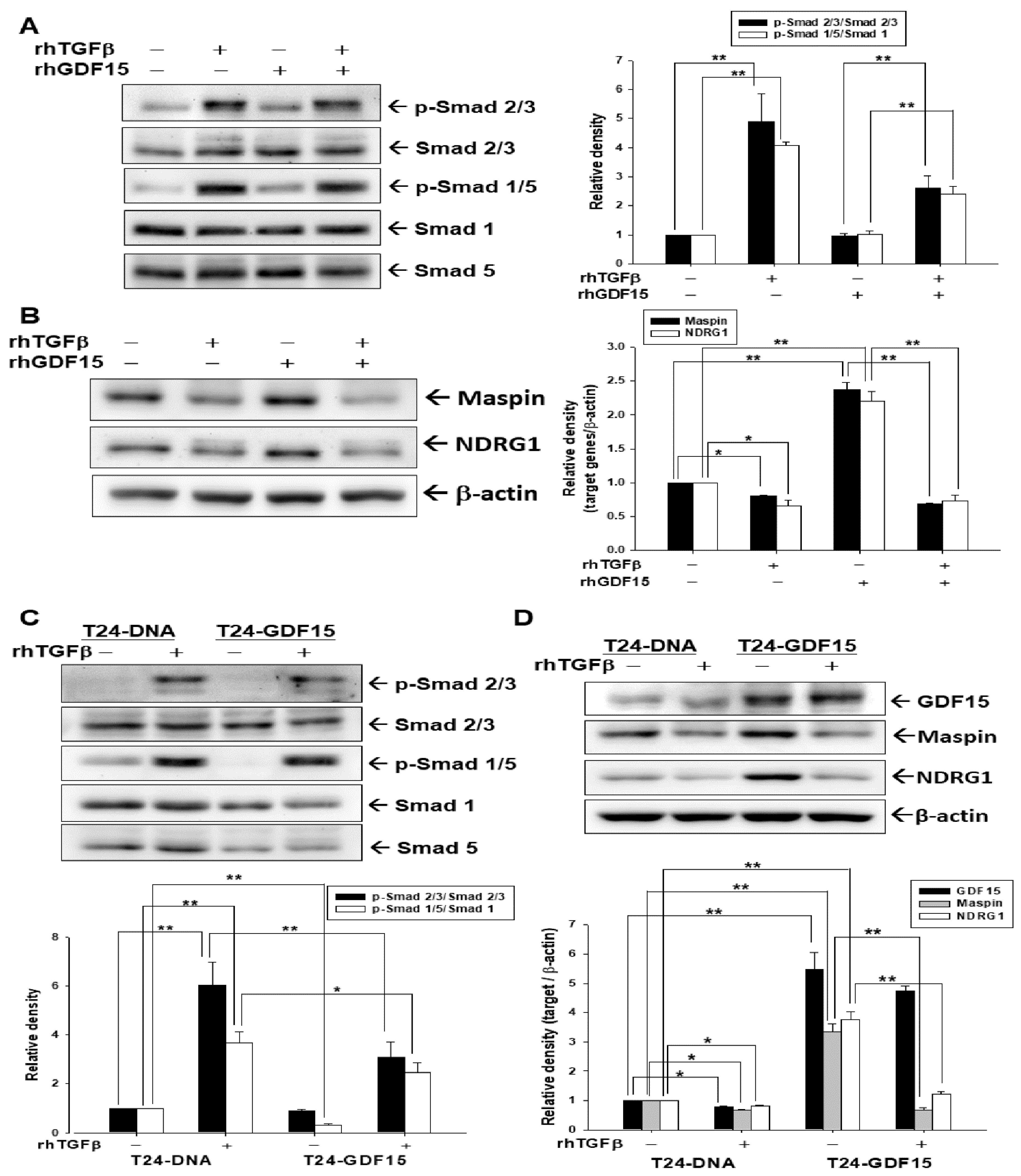 Biomedicines 10 01625 g003