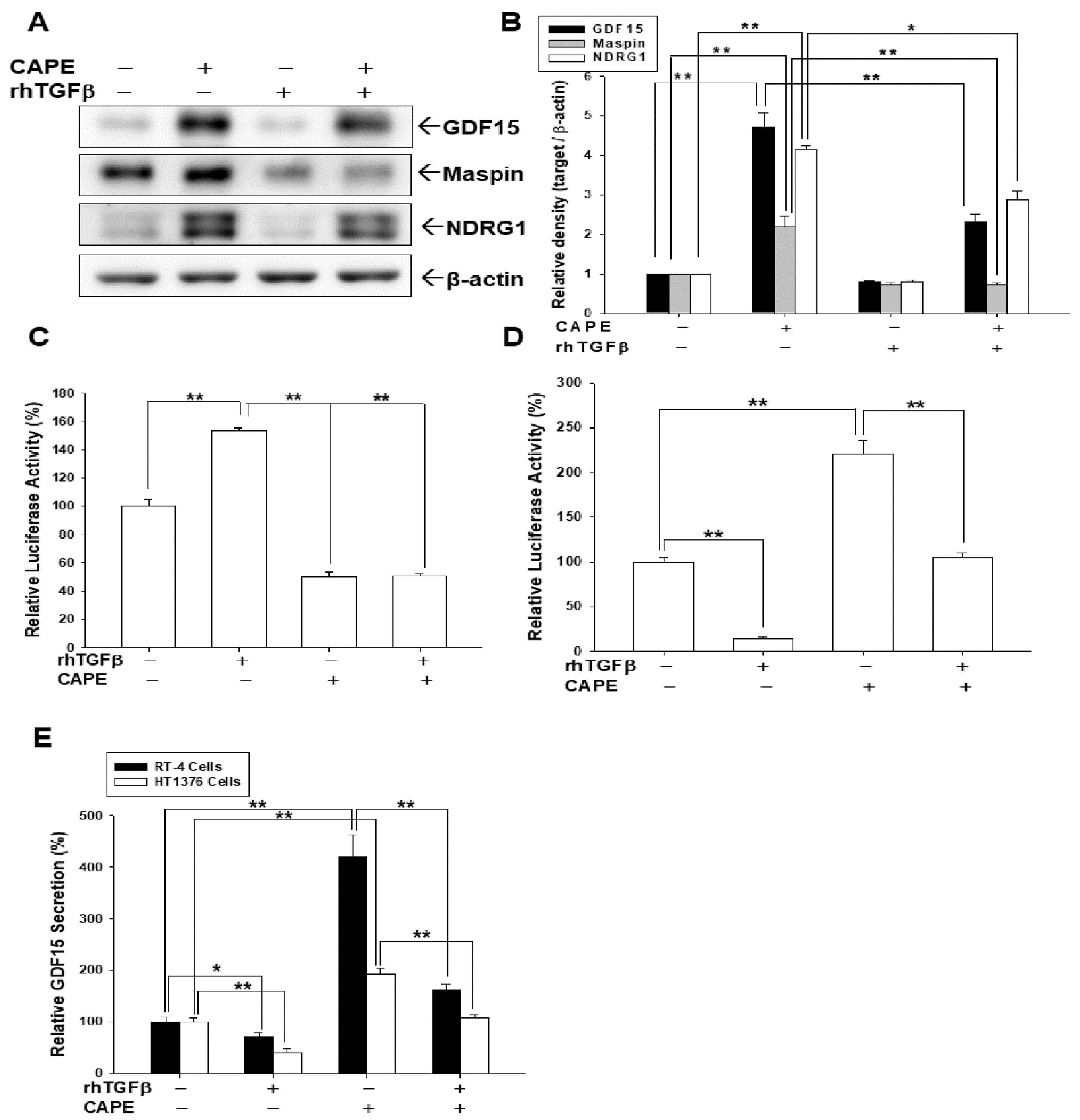 Biomedicines 10 01625 g004