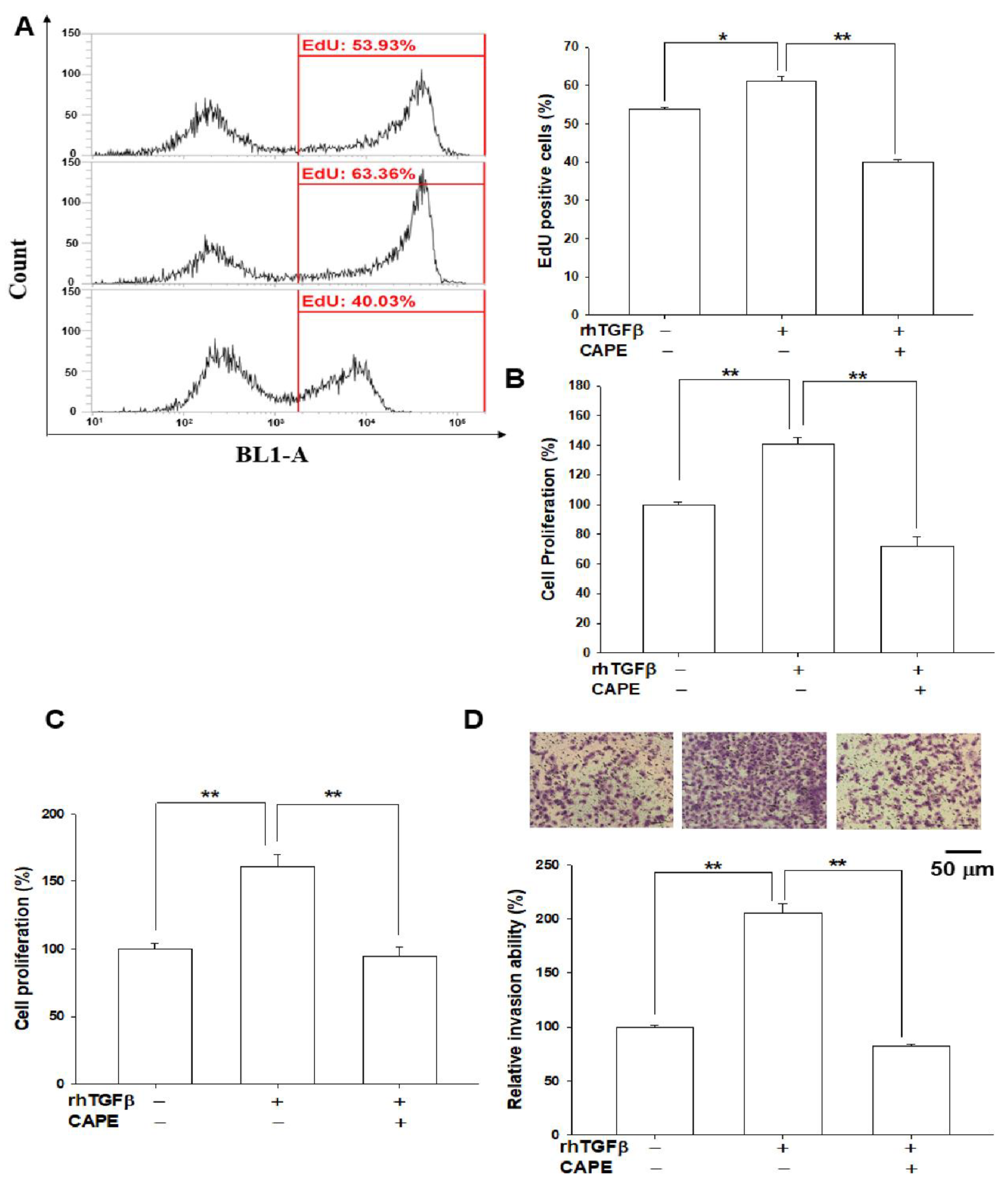 Biomedicines 10 01625 g006