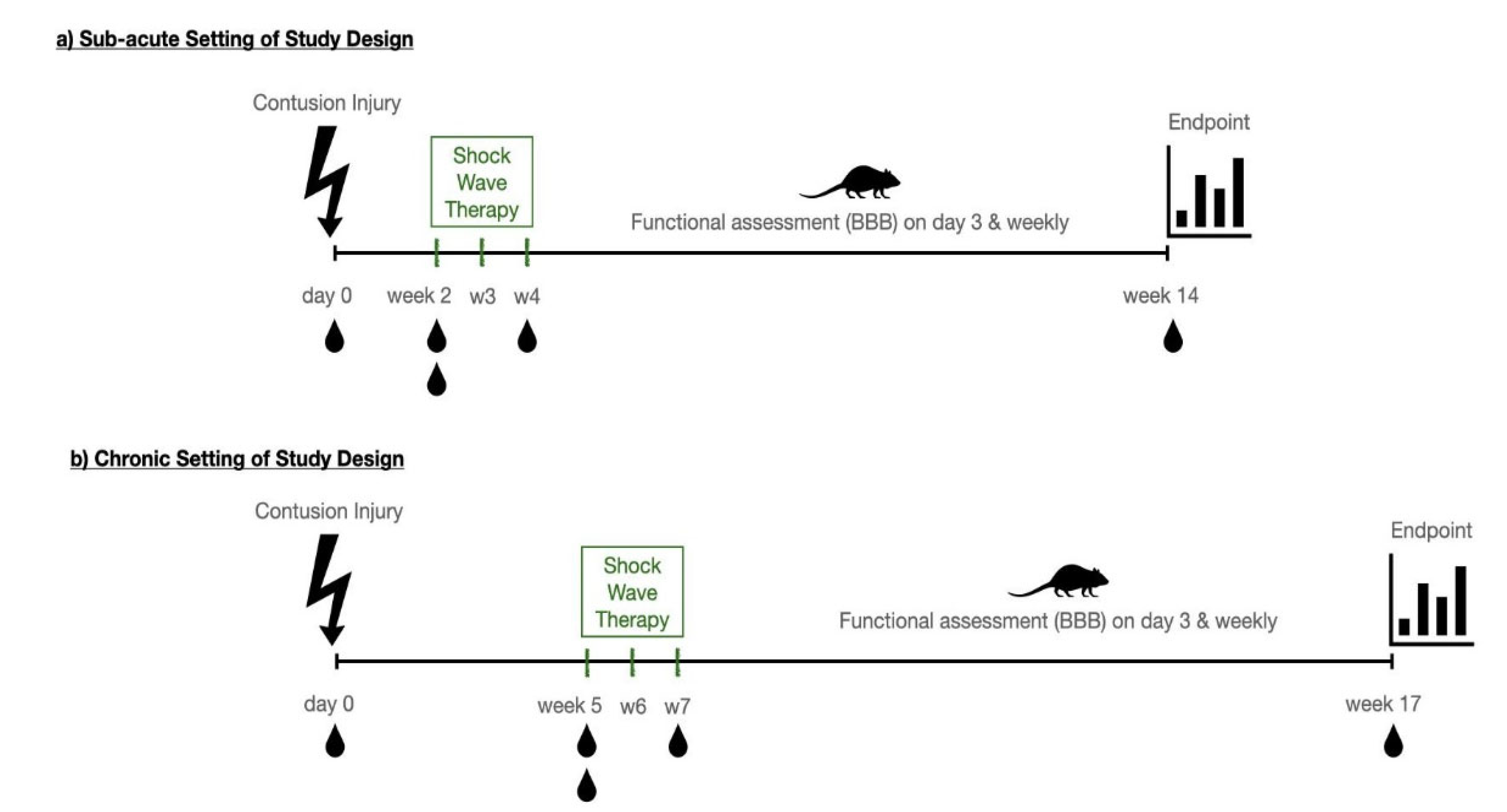 Biomedicines 10 01630 g001