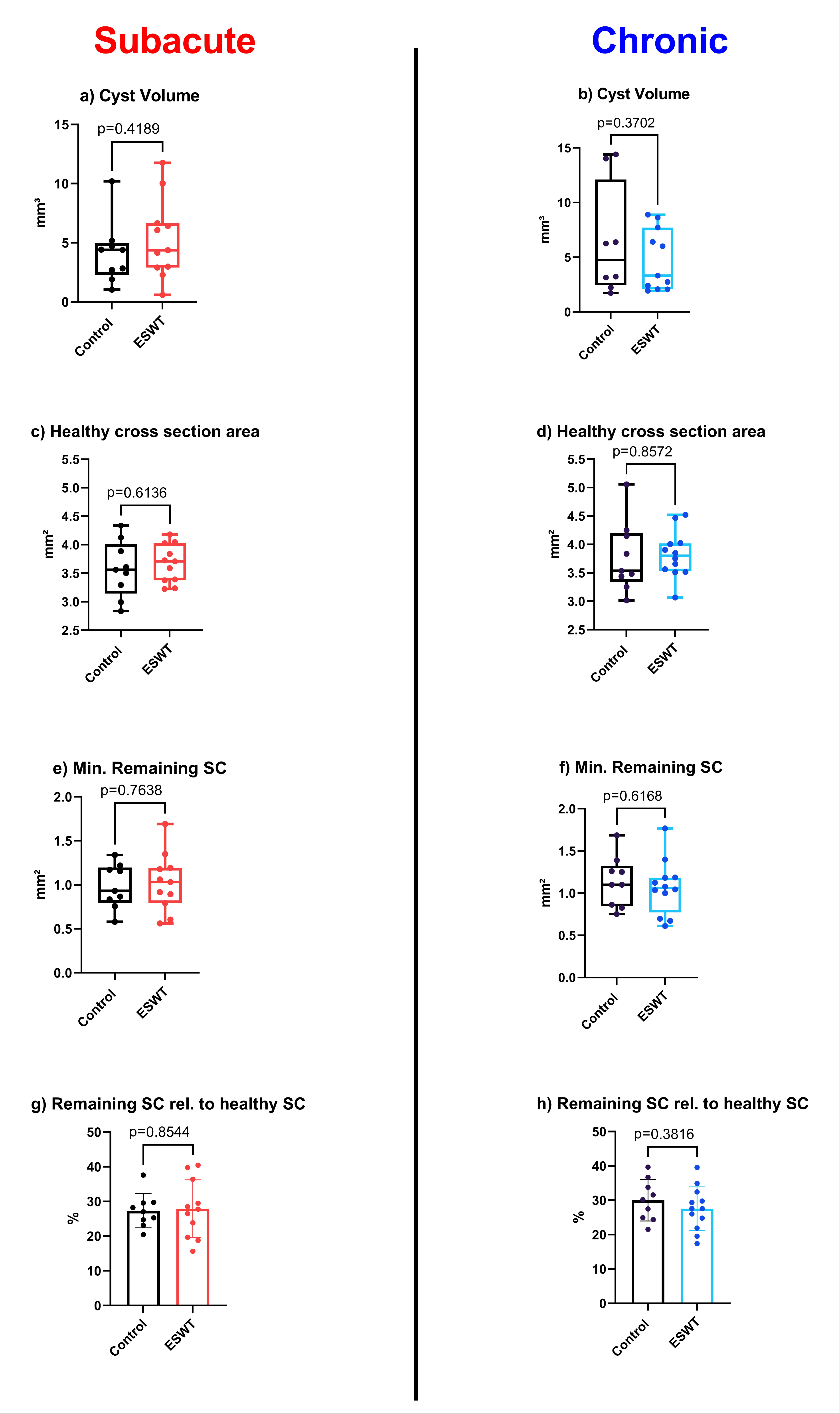 Biomedicines 10 01630 g004