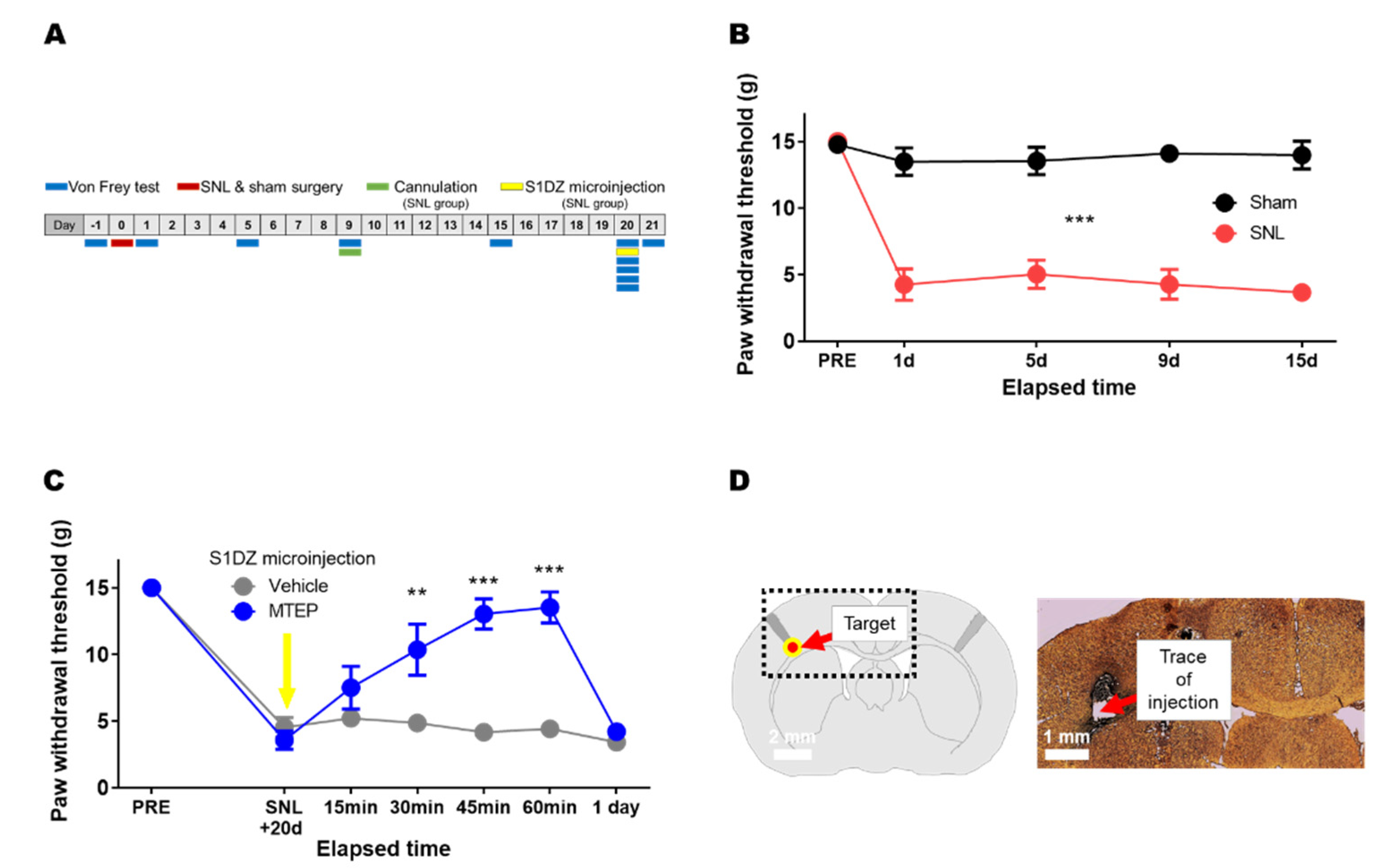 Biomedicines 10 01633 g002