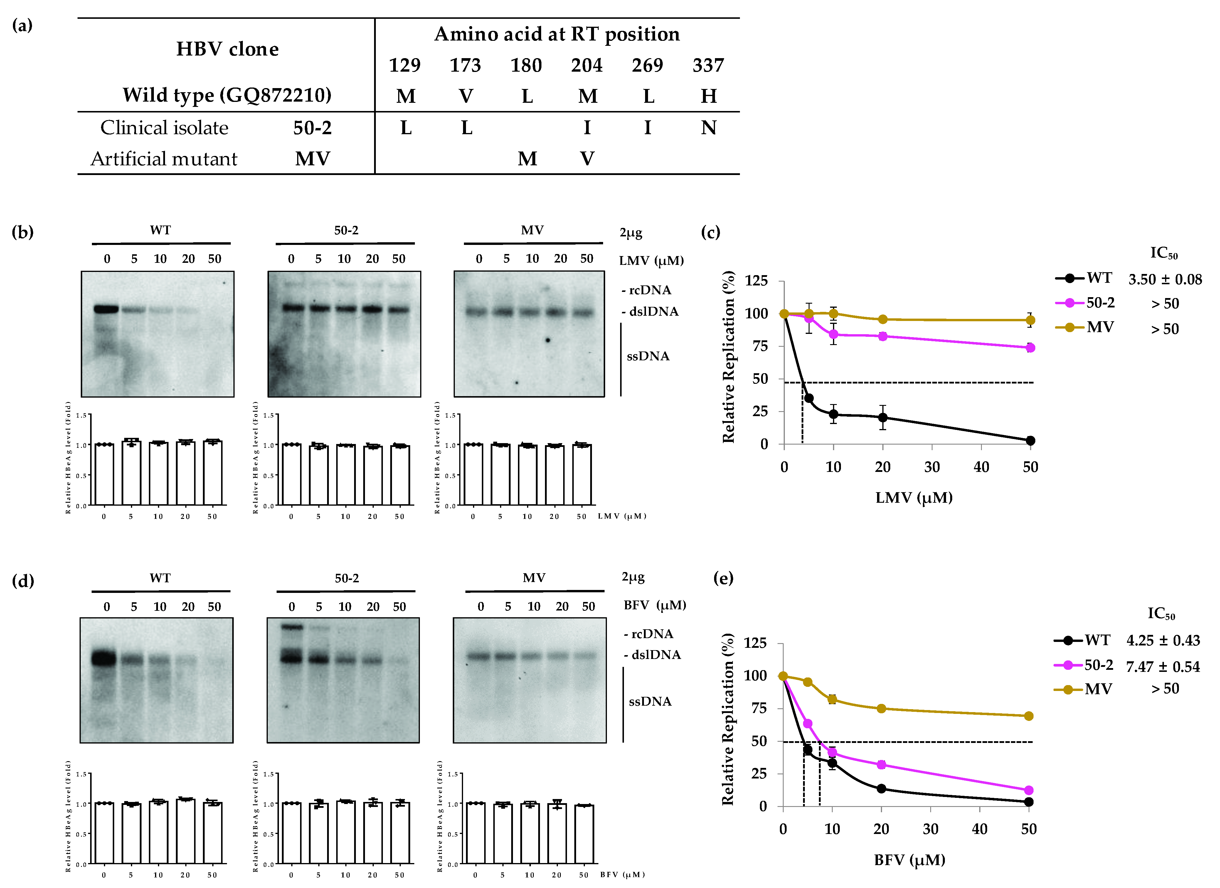 Biomedicines 10 01637 g001 Biomedicines 10 01637 g001
