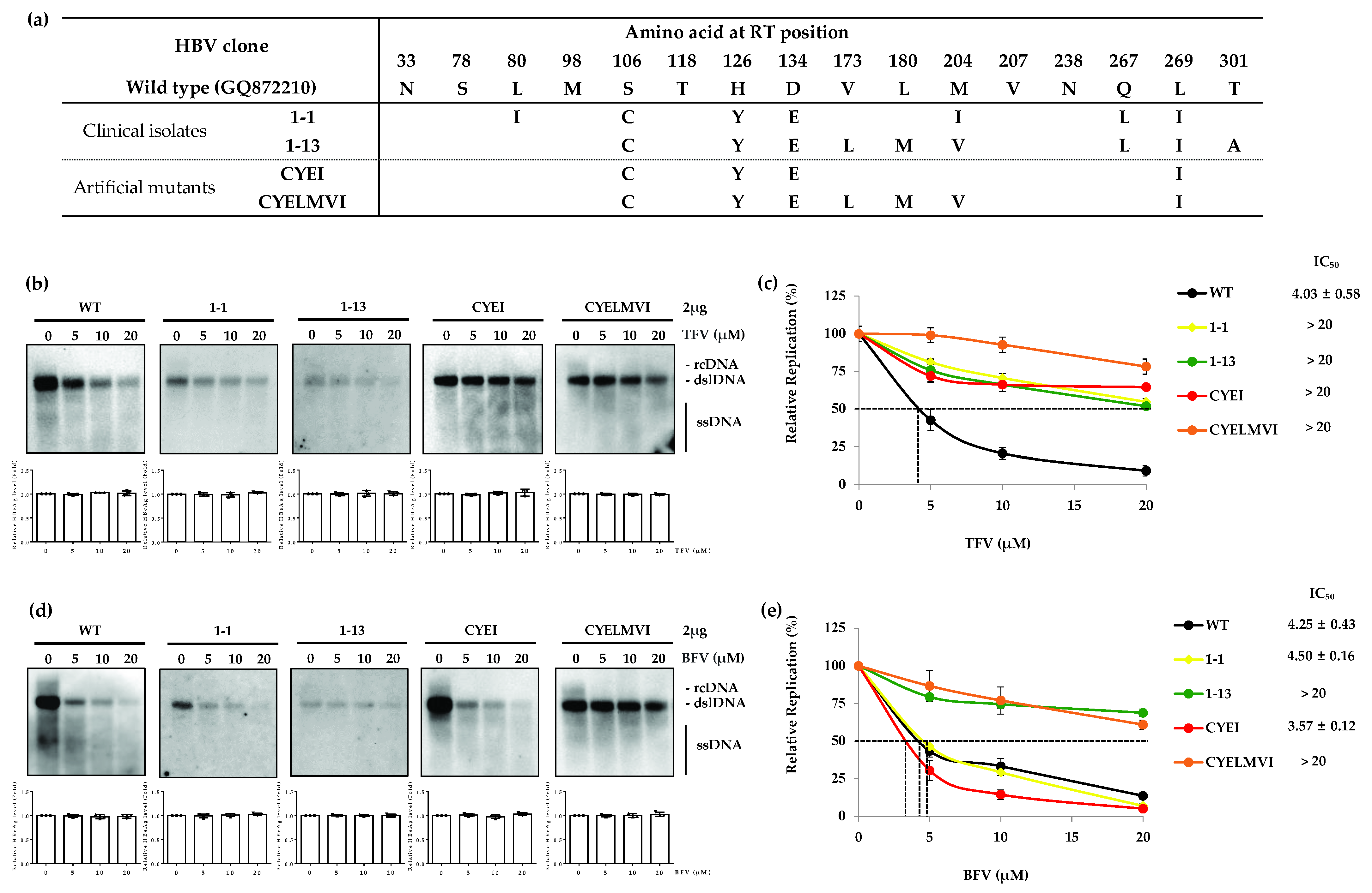 Biomedicines 10 01637 g004 Biomedicines 10 01637 g004
