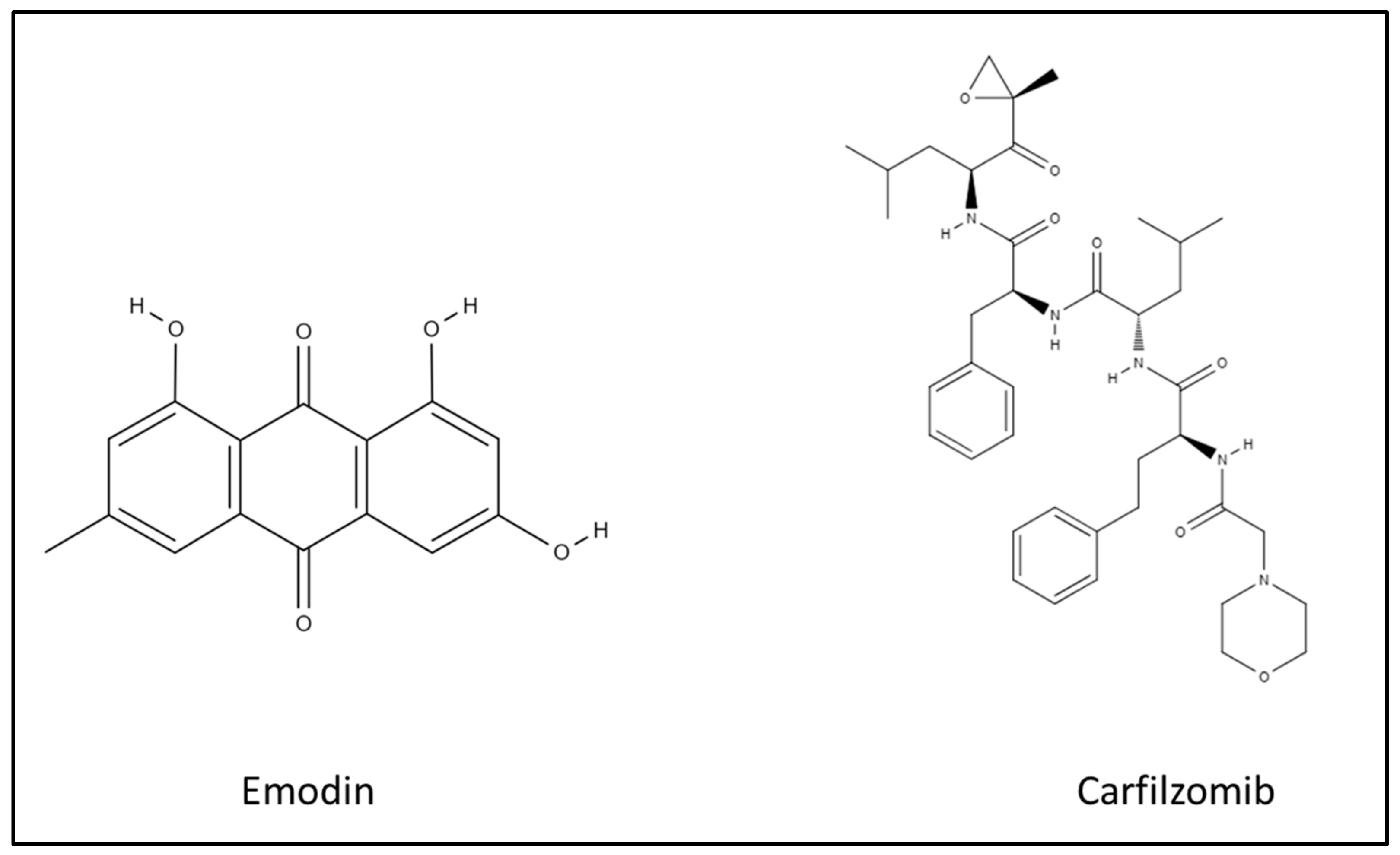 Biomedicines 10 01638 g001