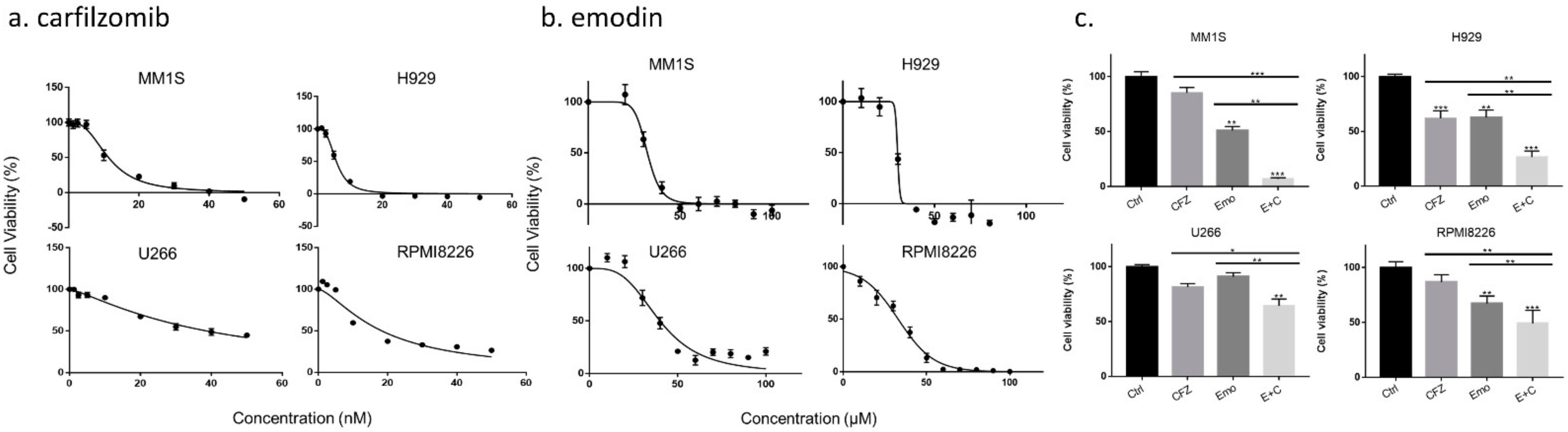 Biomedicines 10 01638 g002