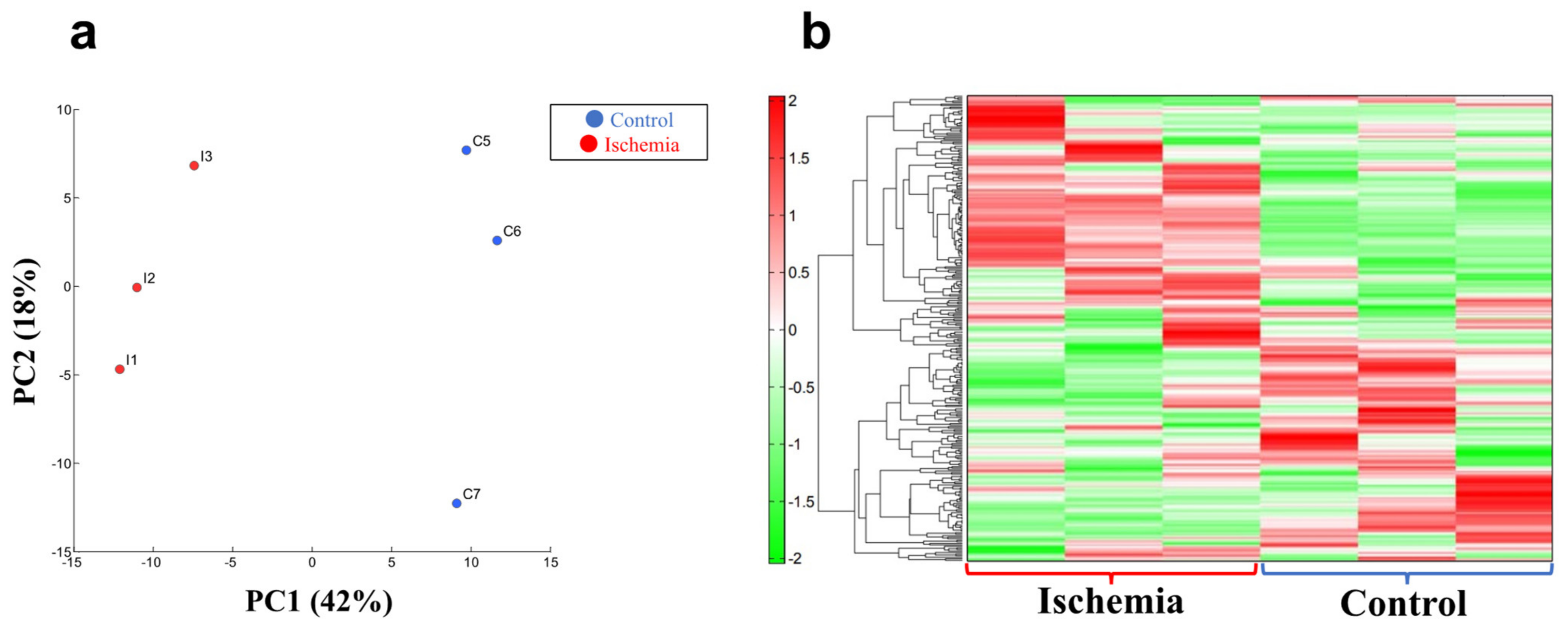 Biomedicines 10 01642 g004 Biomedicines 10 01642 g004