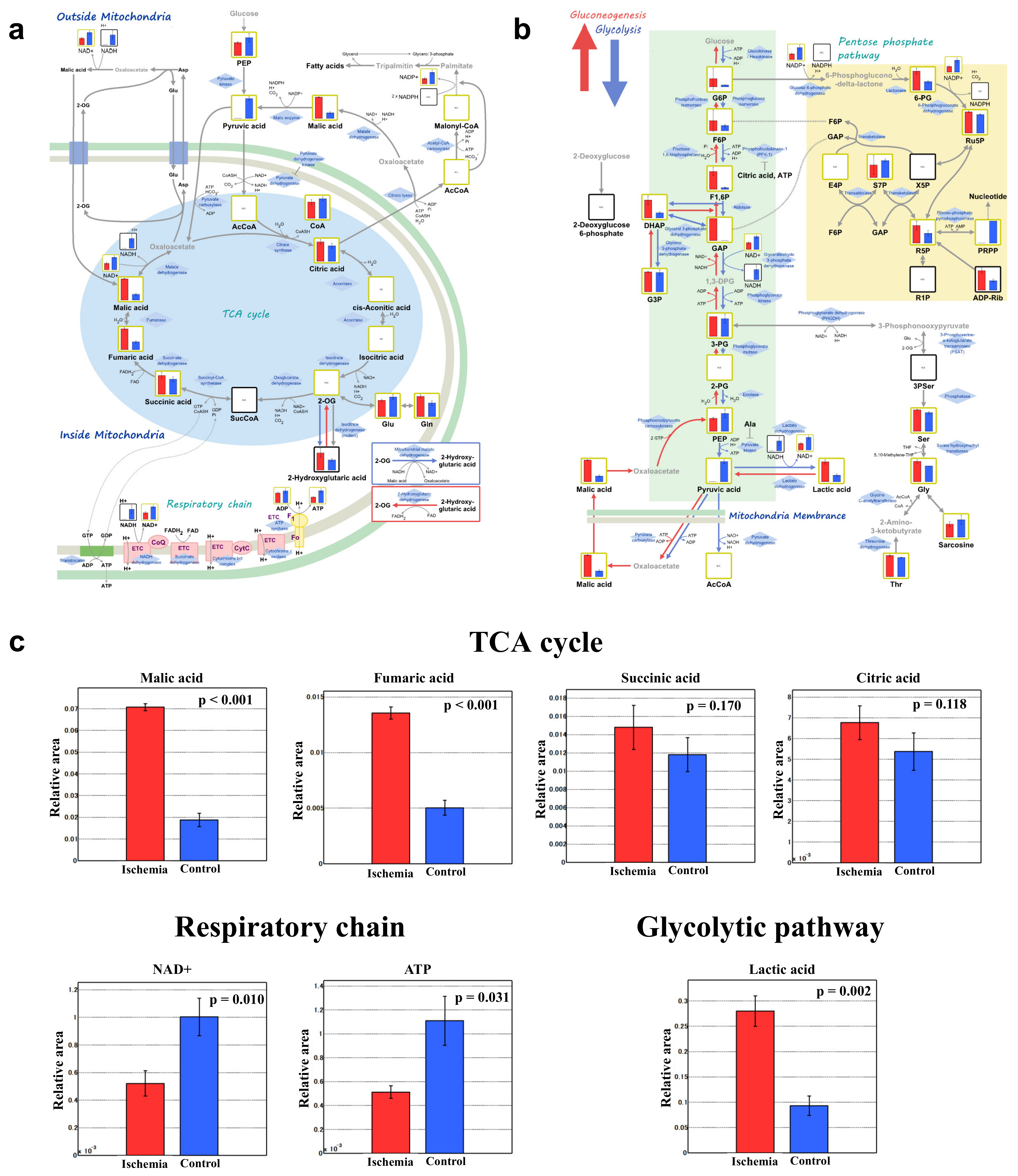 Biomedicines 10 01642 g005 Biomedicines 10 01642 g005
