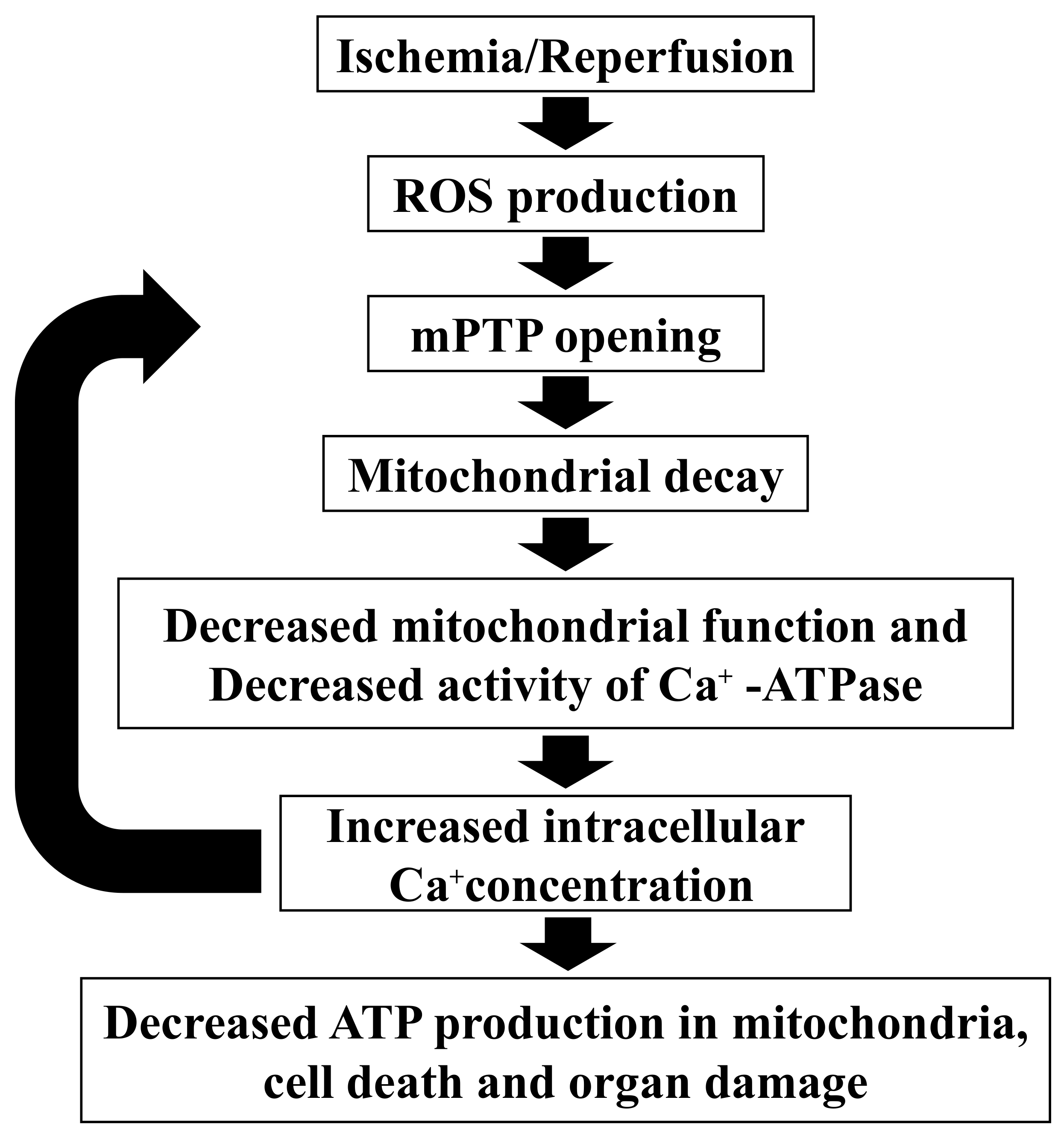 Biomedicines 10 01642 g007 Biomedicines 10 01642 g007