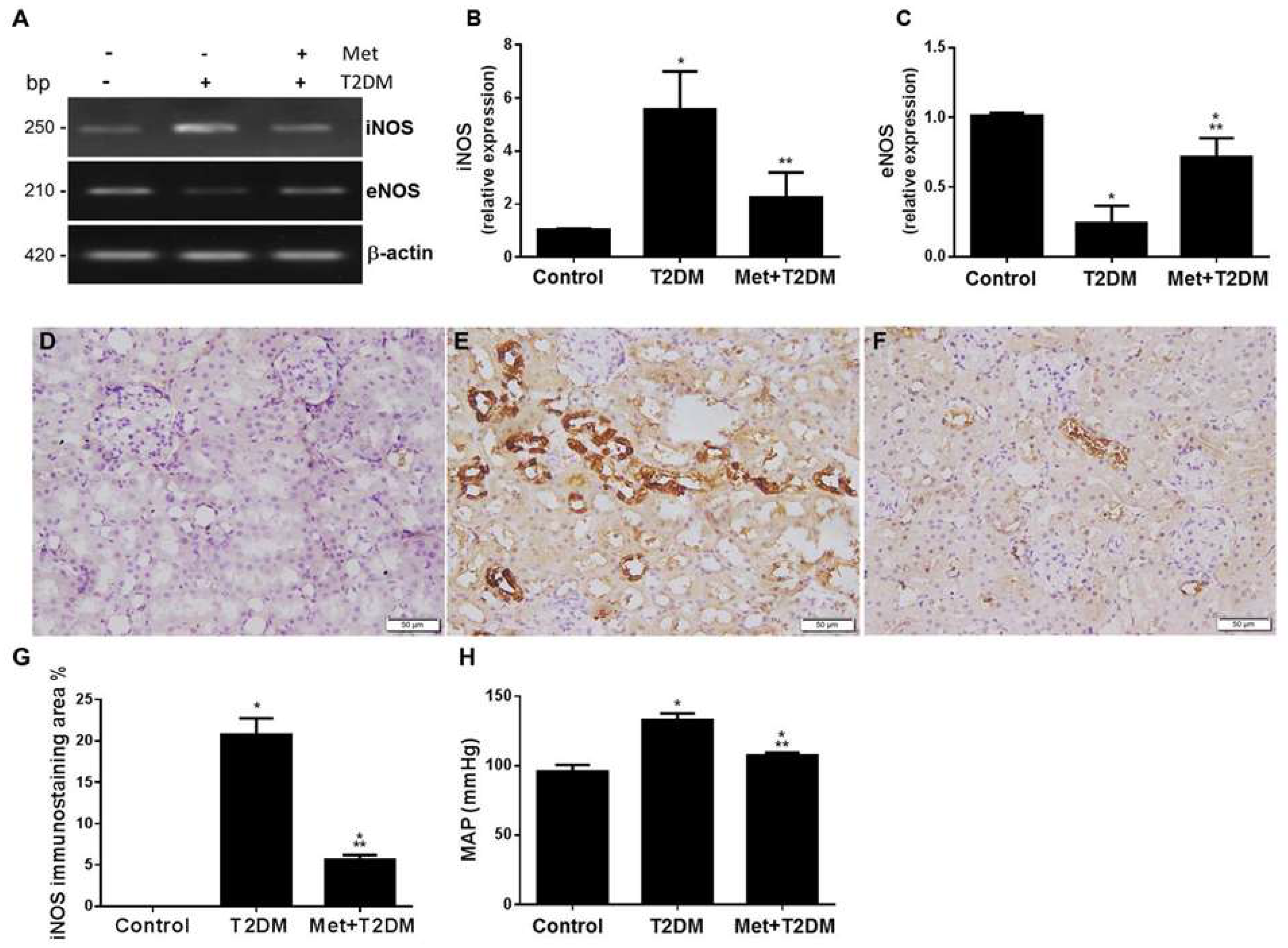 Biomedicines 10 01644 g002 550