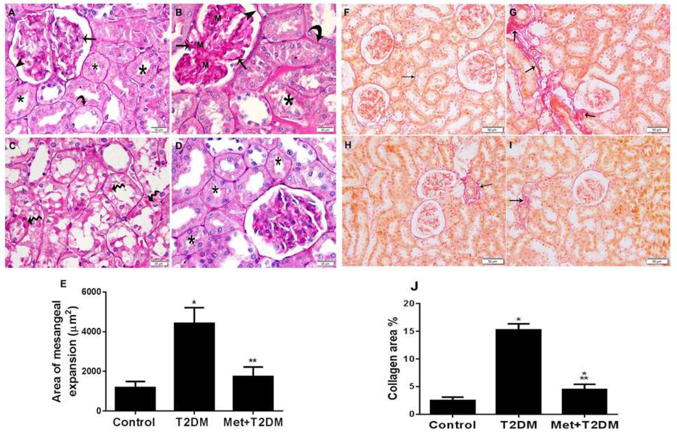 Biomedicines 10 01644 g003 550