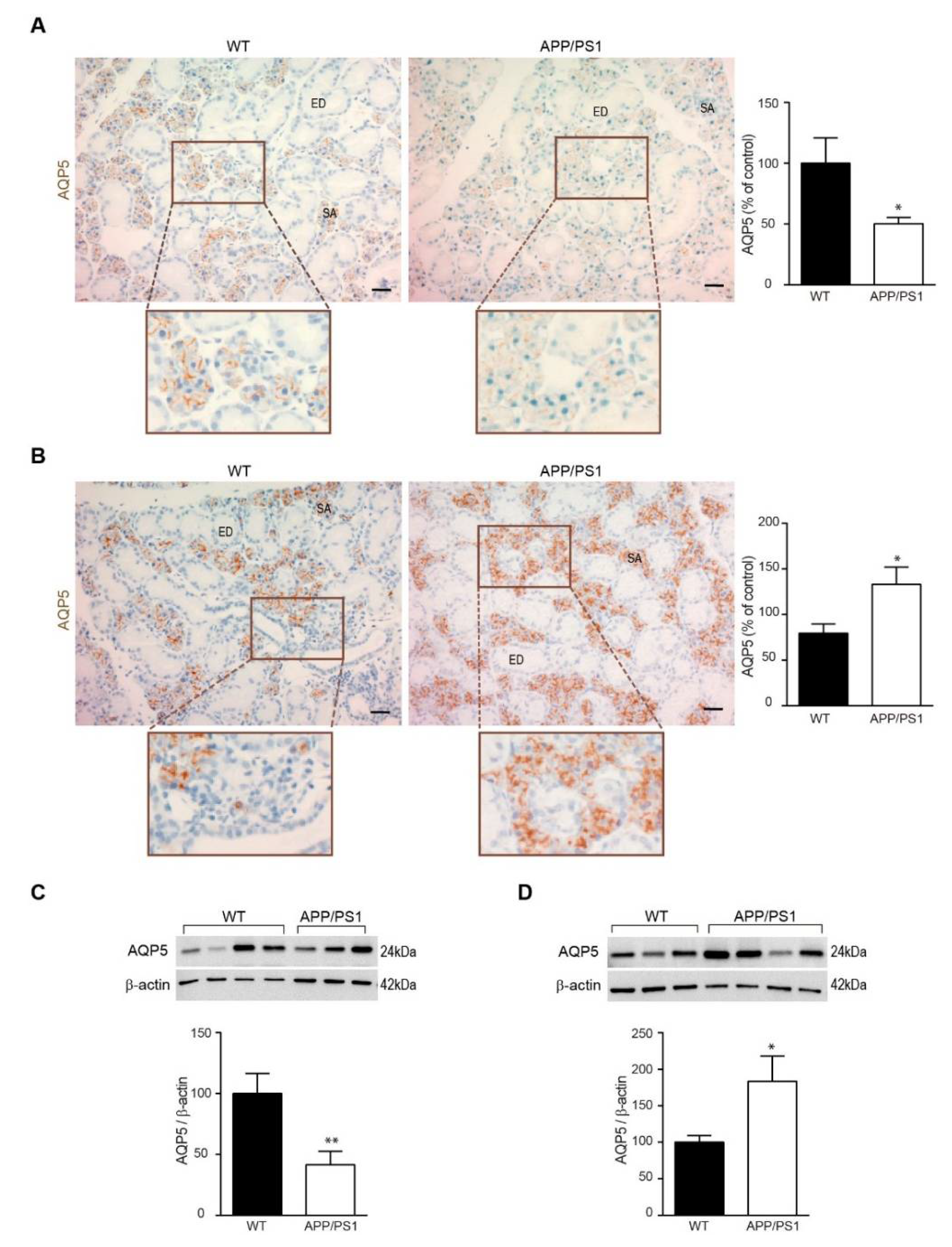 Biomedicines 10 01645 g001 Biomedicines 10 01645 g001