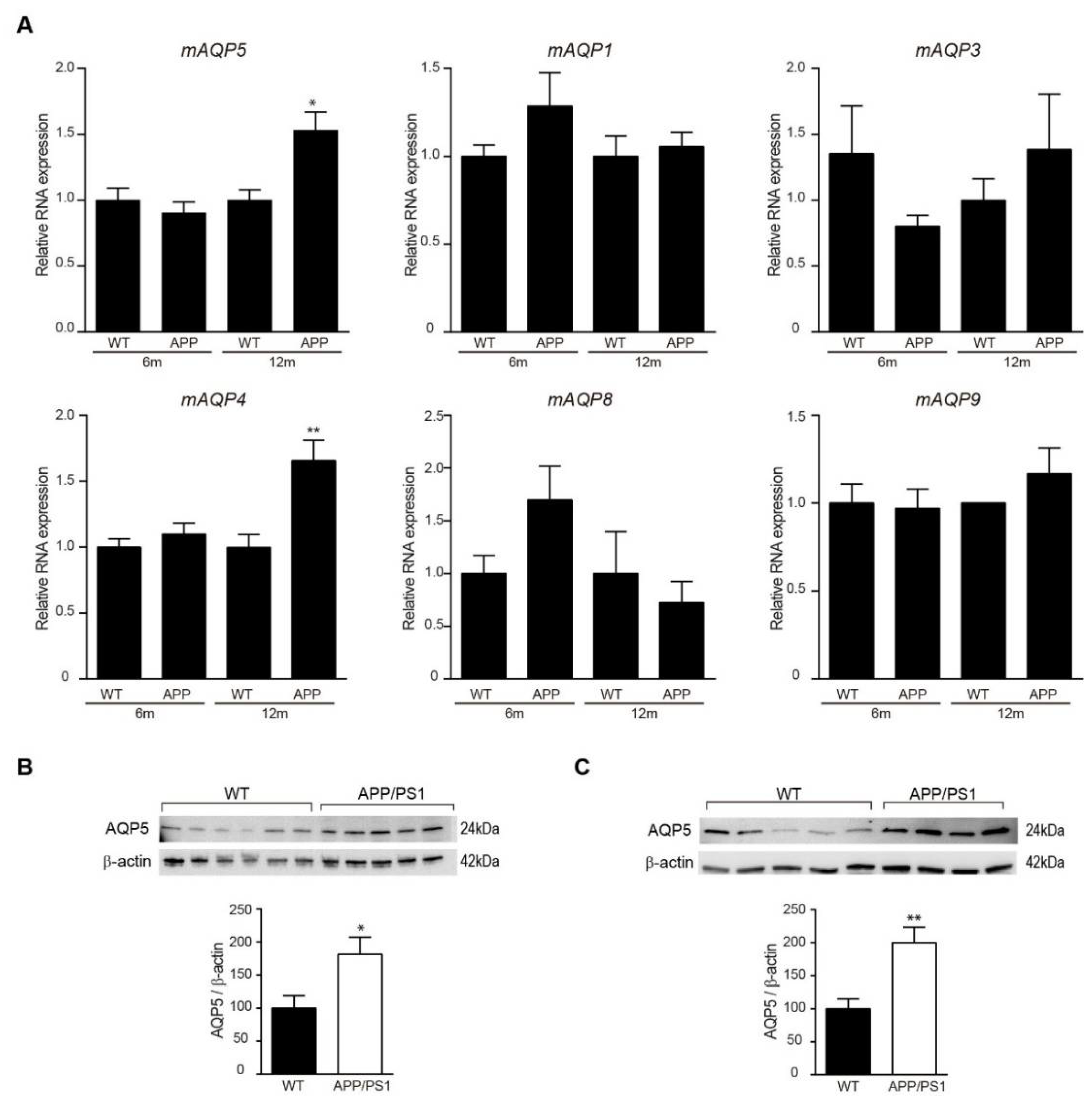 Biomedicines 10 01645 g003 Biomedicines 10 01645 g003