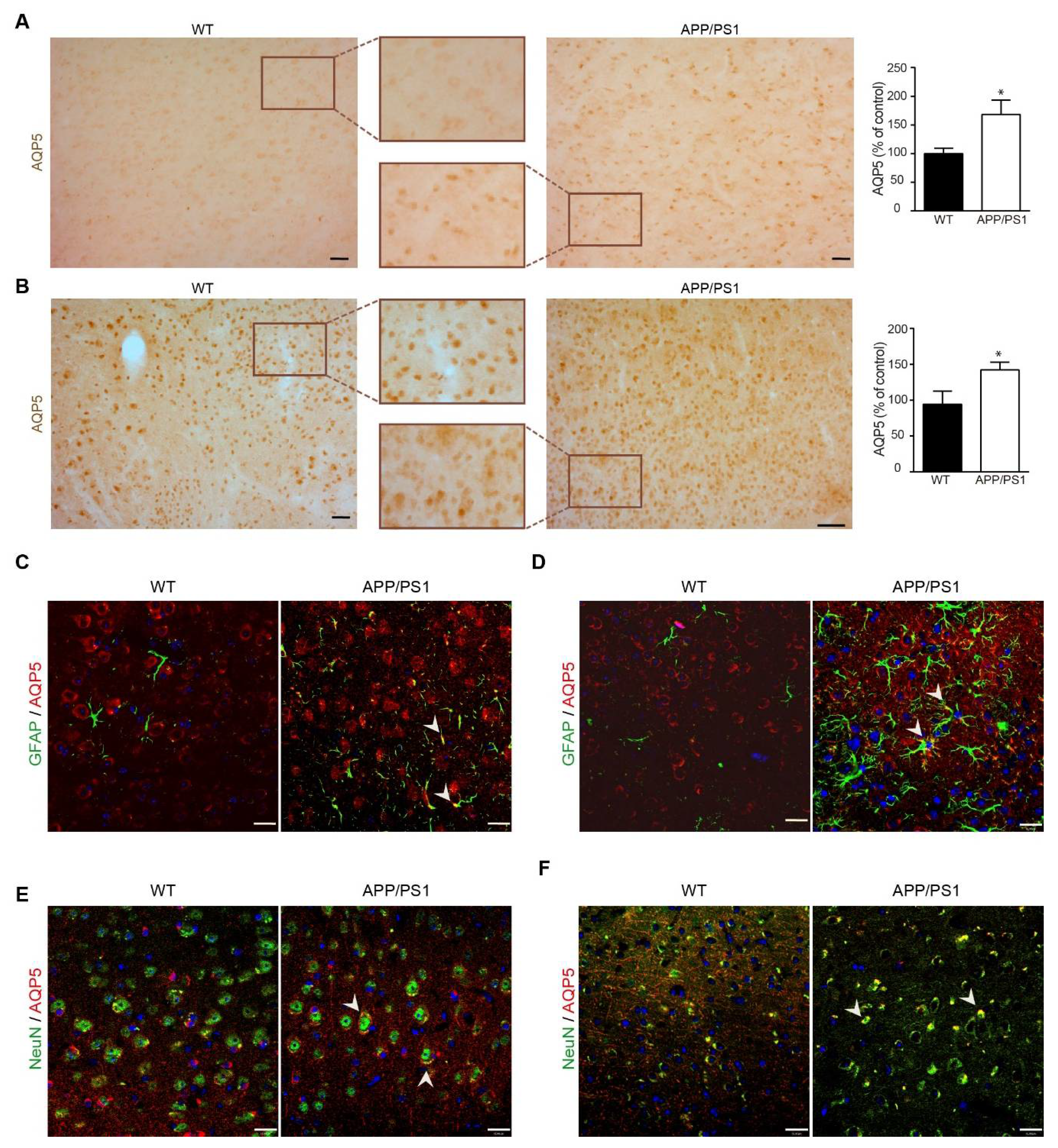 Biomedicines 10 01645 g004 Biomedicines 10 01645 g004
