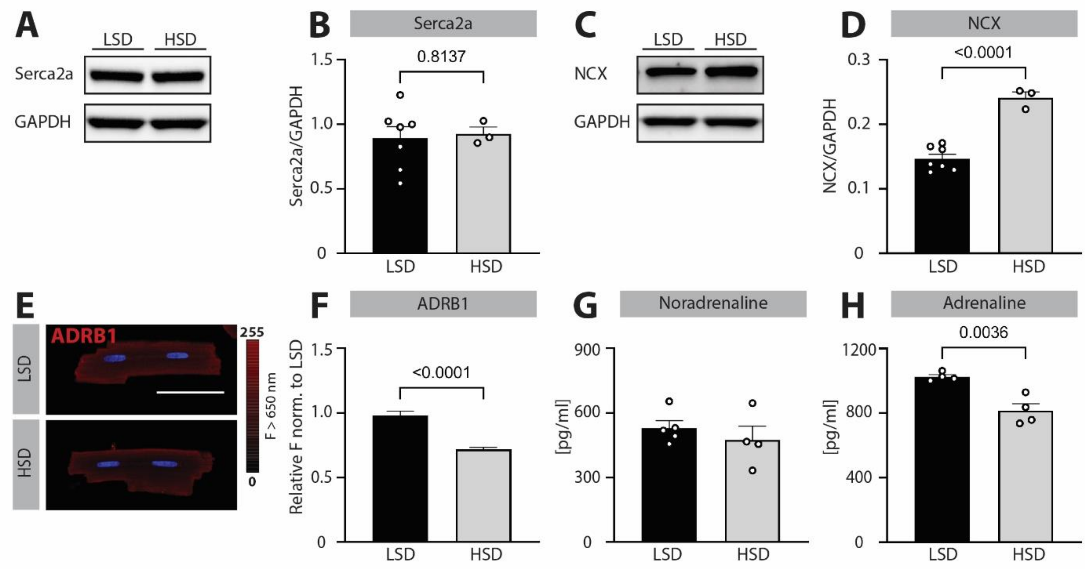 Biomedicines 10 01648 g004