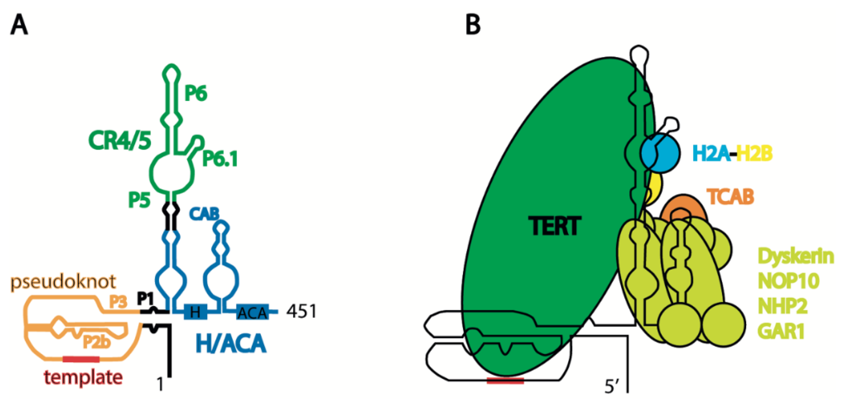 Biomedicines 10 01650 g002 Biomedicines 10 01650 g002