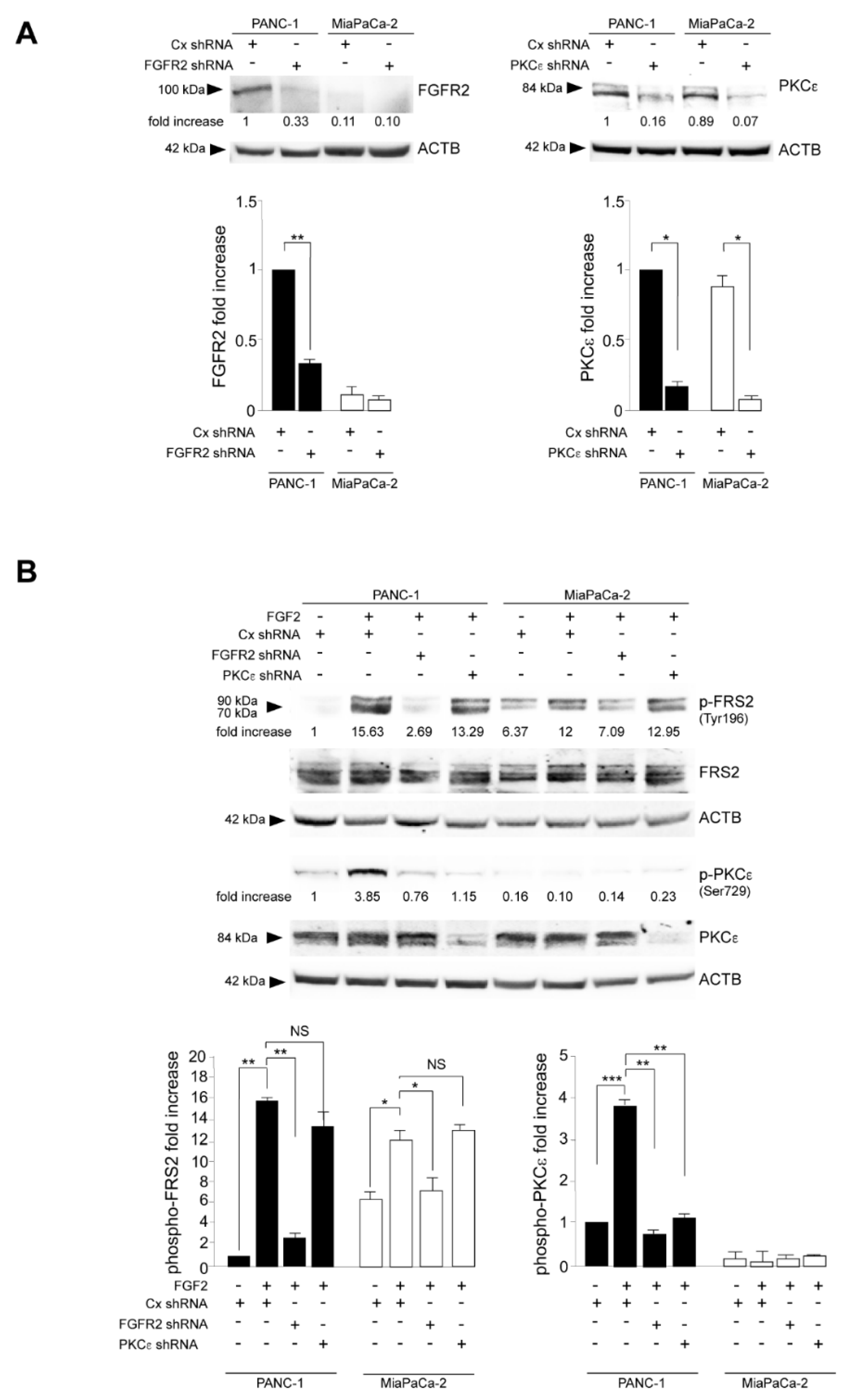 Biomedicines 10 01652 g001