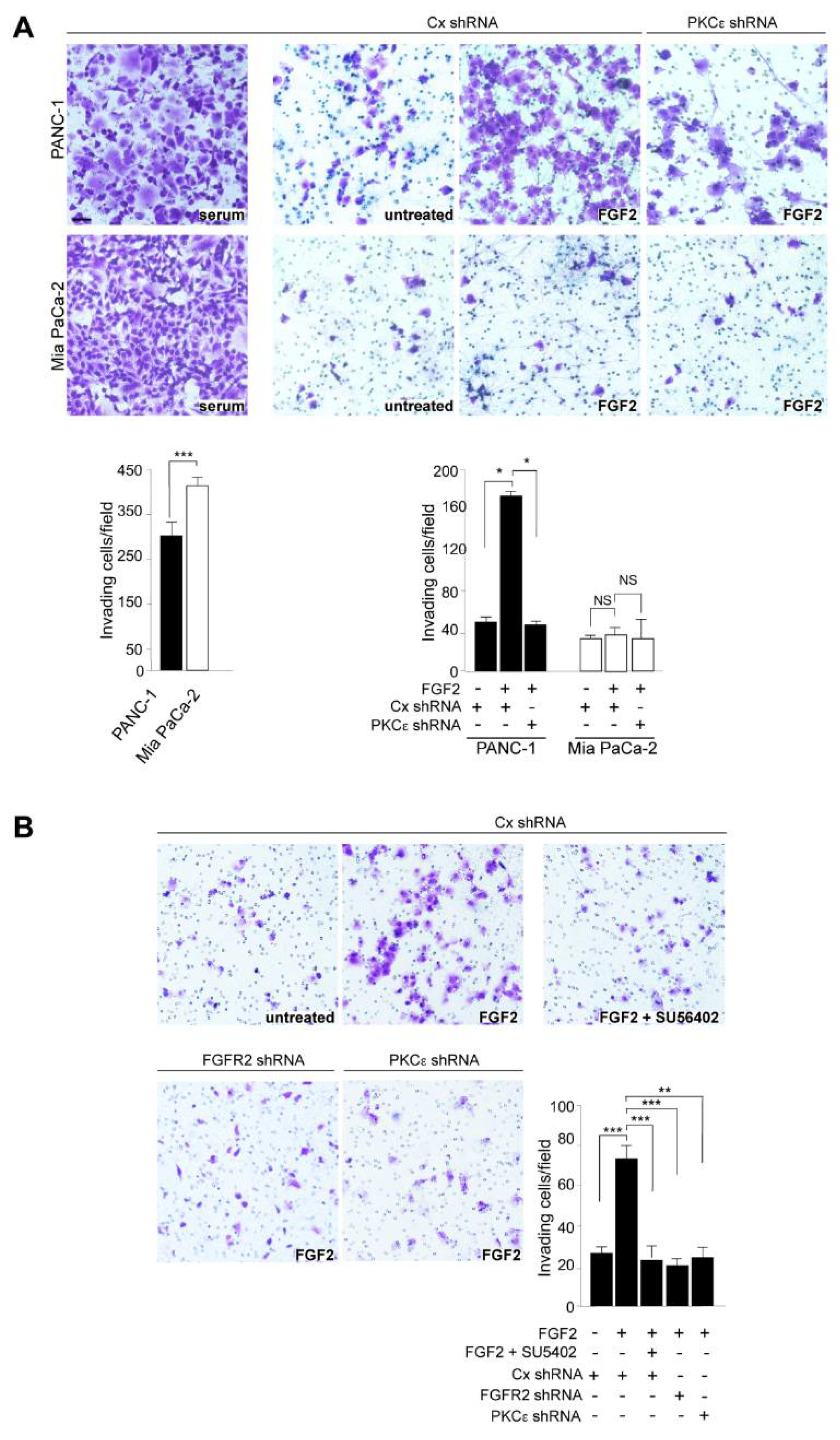 Biomedicines 10 01652 g003
