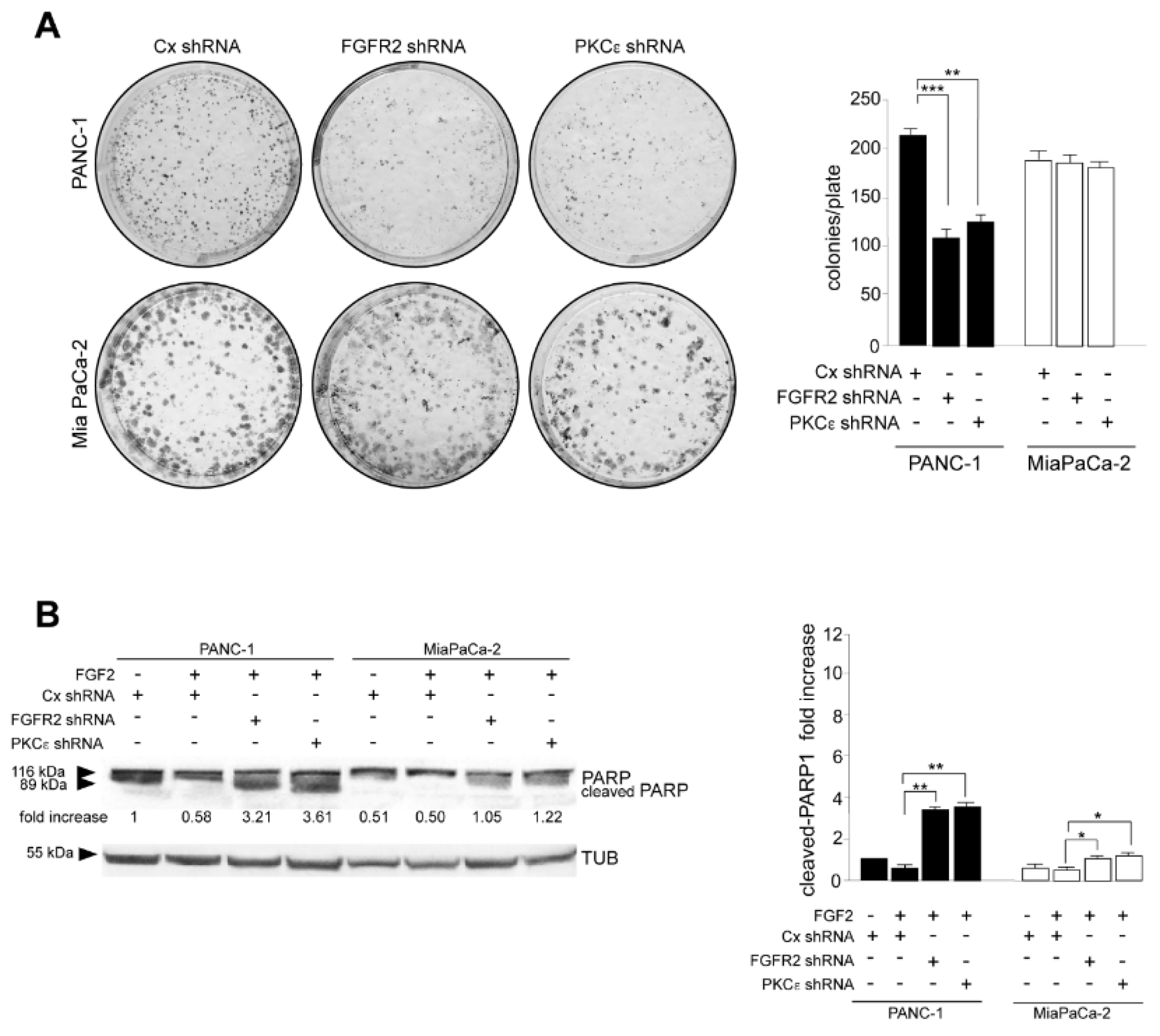Biomedicines 10 01652 g005