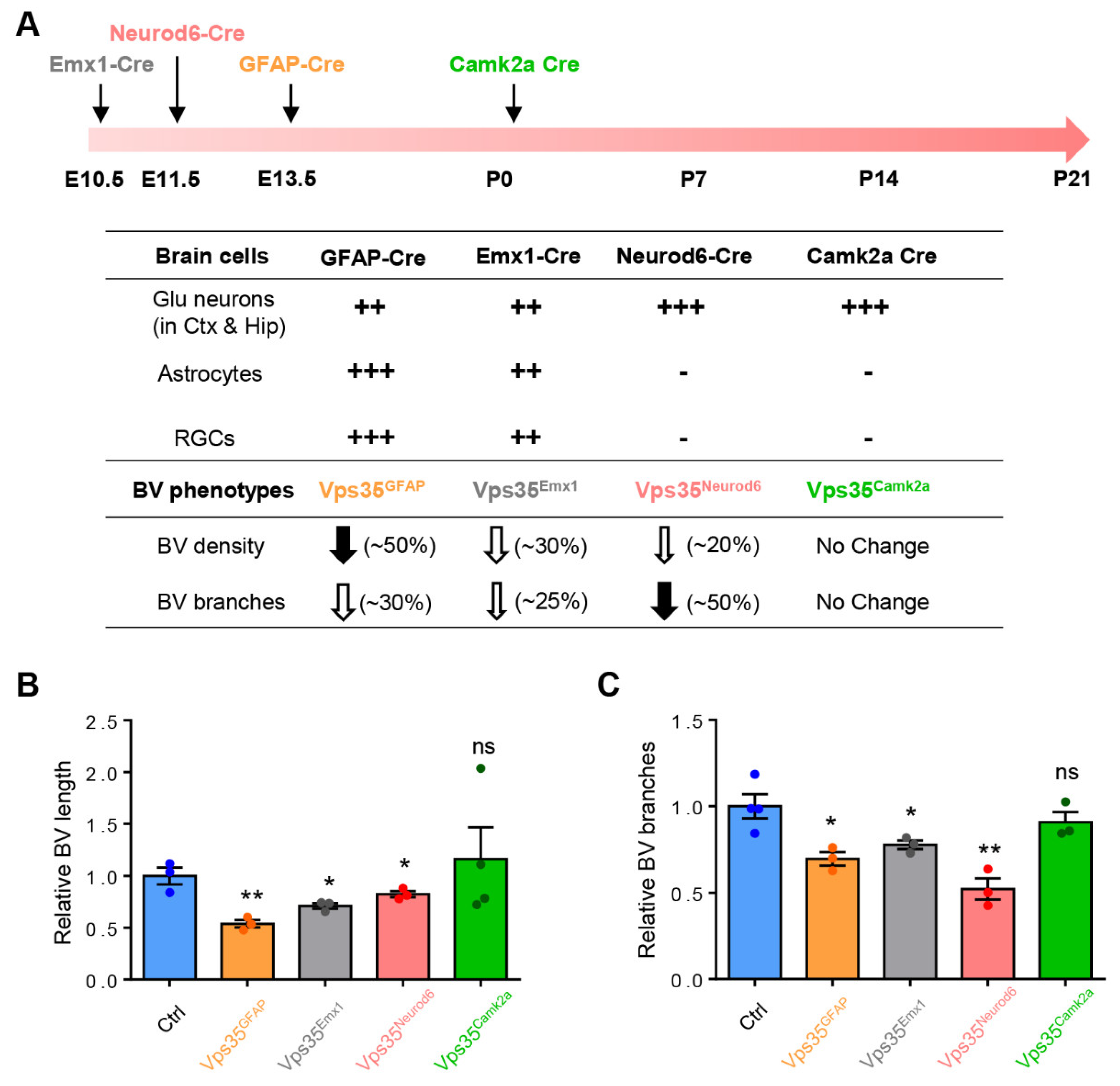Biomedicines 10 01653 g002