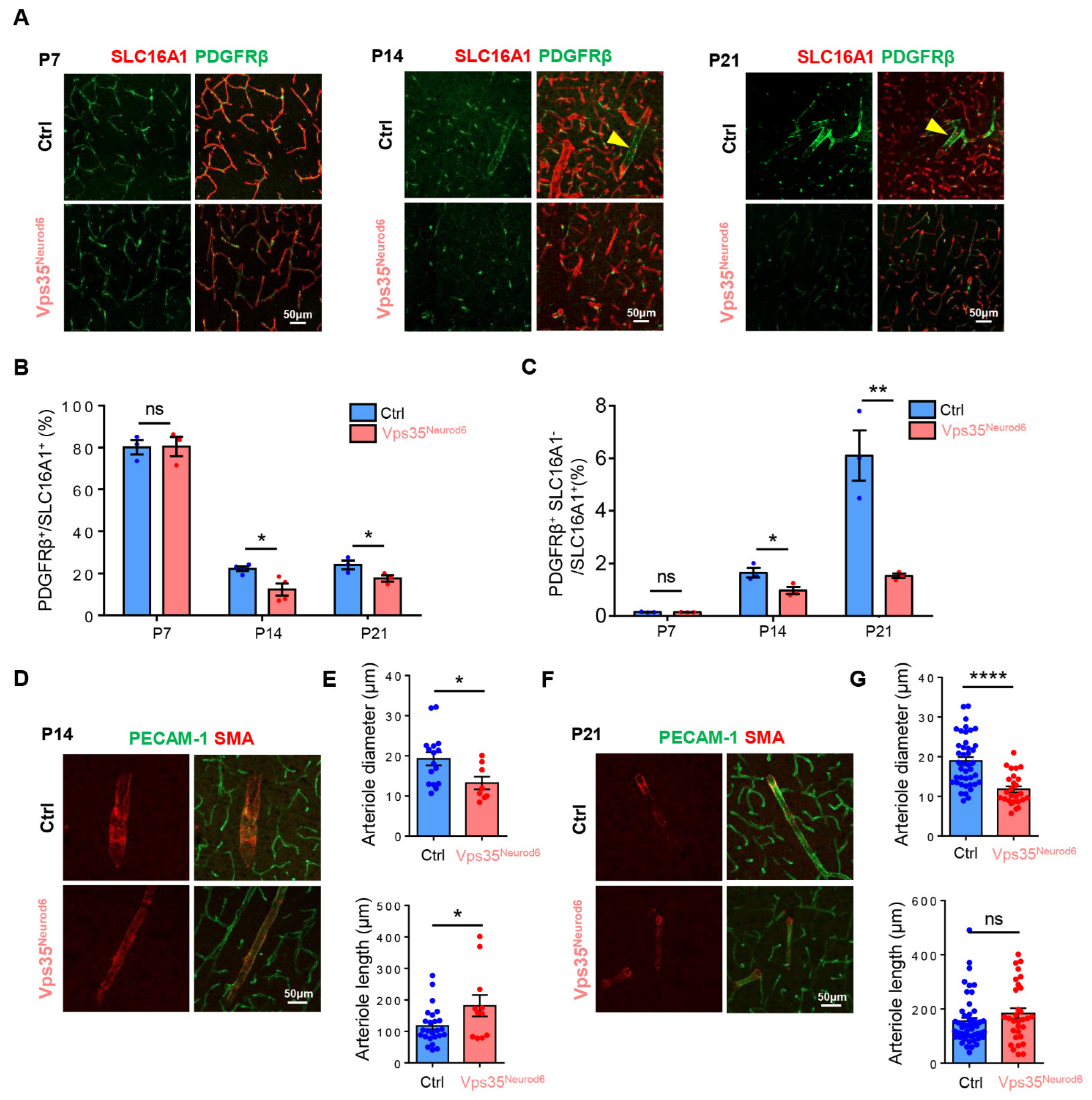 Biomedicines 10 01653 g004