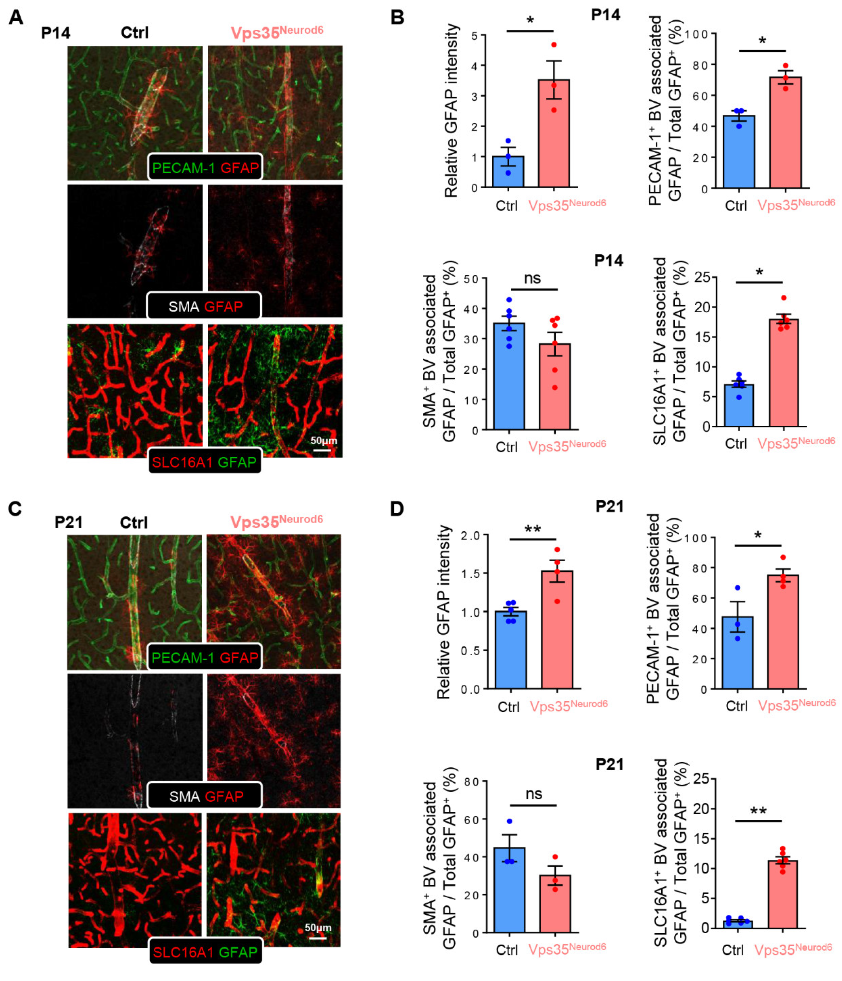 Biomedicines 10 01653 g006a